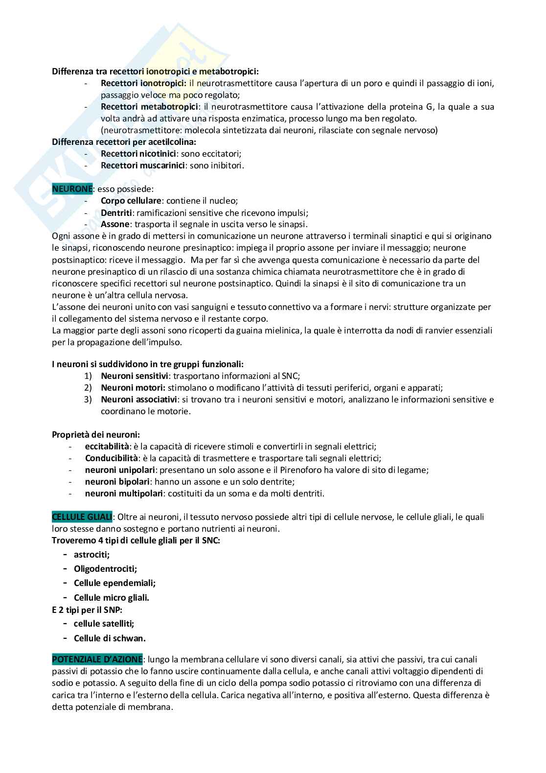Anatomia umana Pag. 16