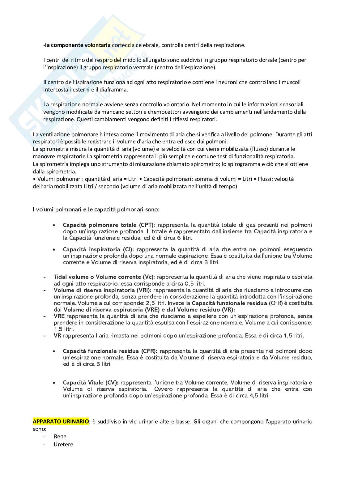 Anatomia umana Pag. 26