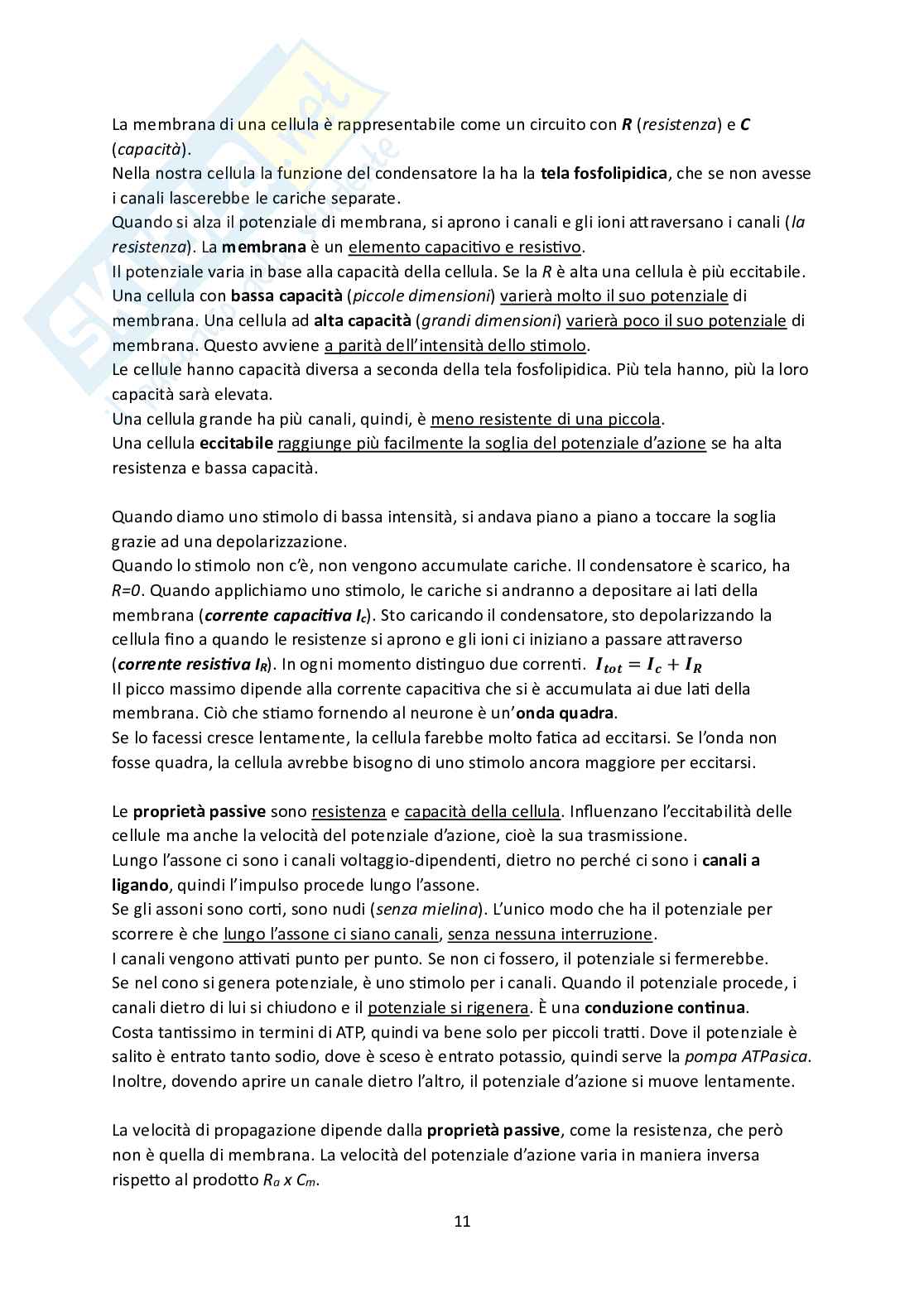 Fisiologia Pag. 11