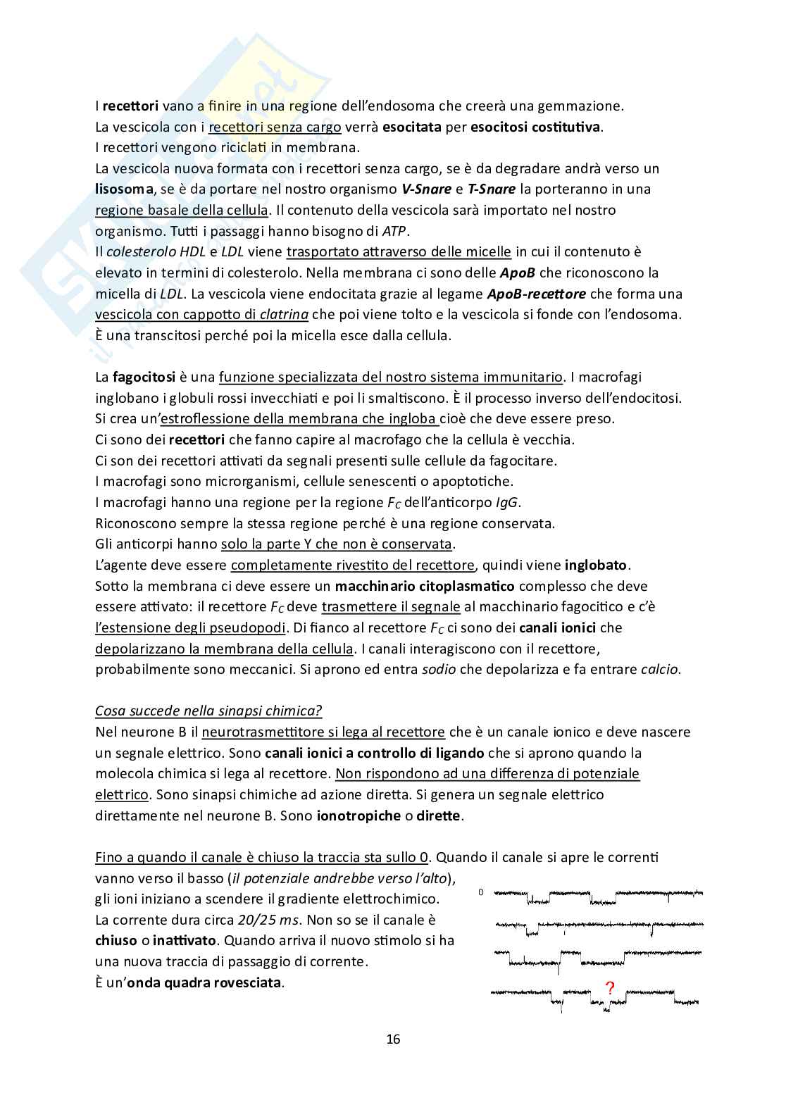 Fisiologia Pag. 16
