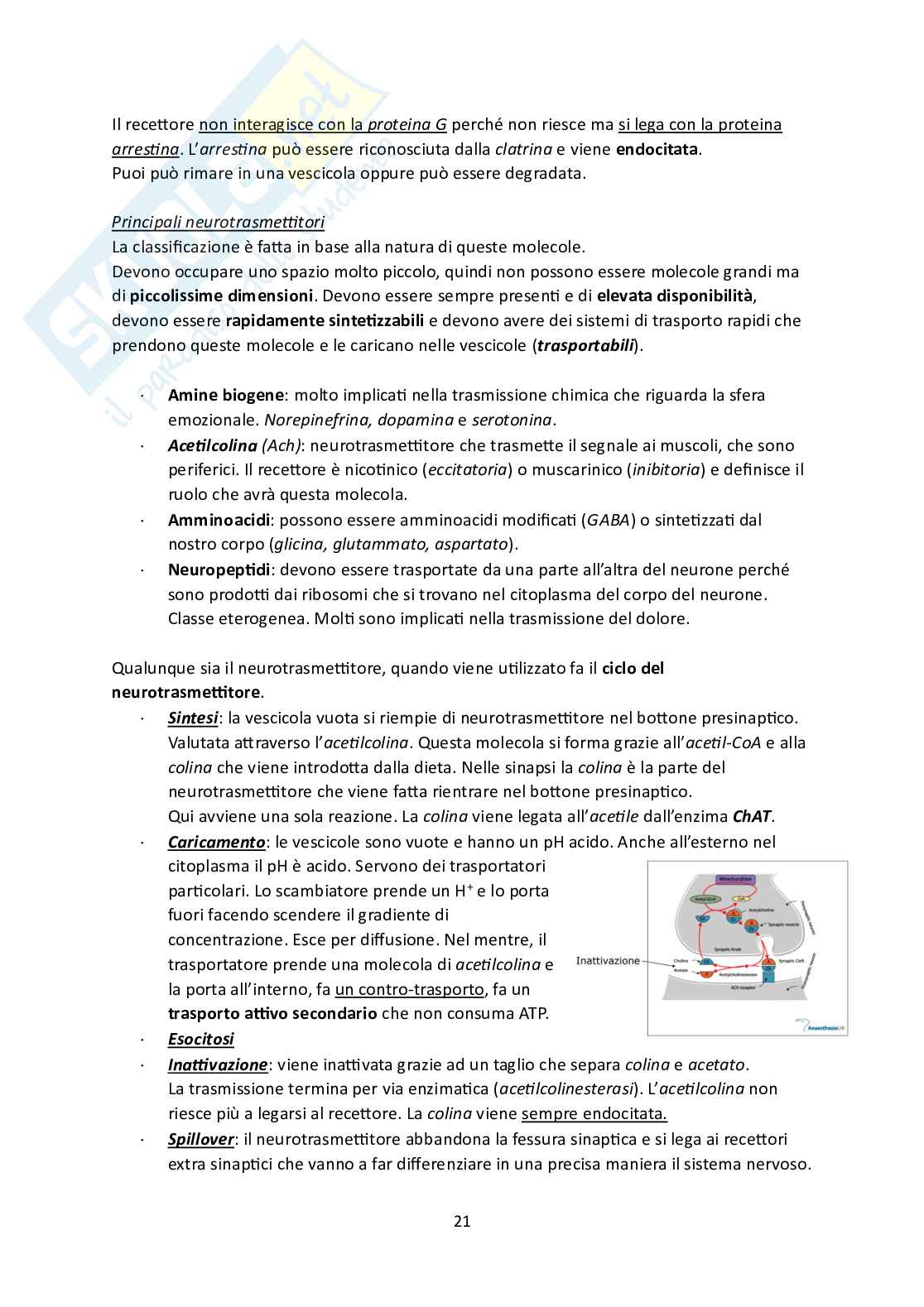 Fisiologia Pag. 21