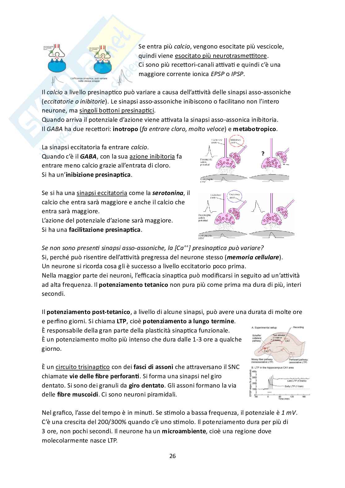 Fisiologia Pag. 26