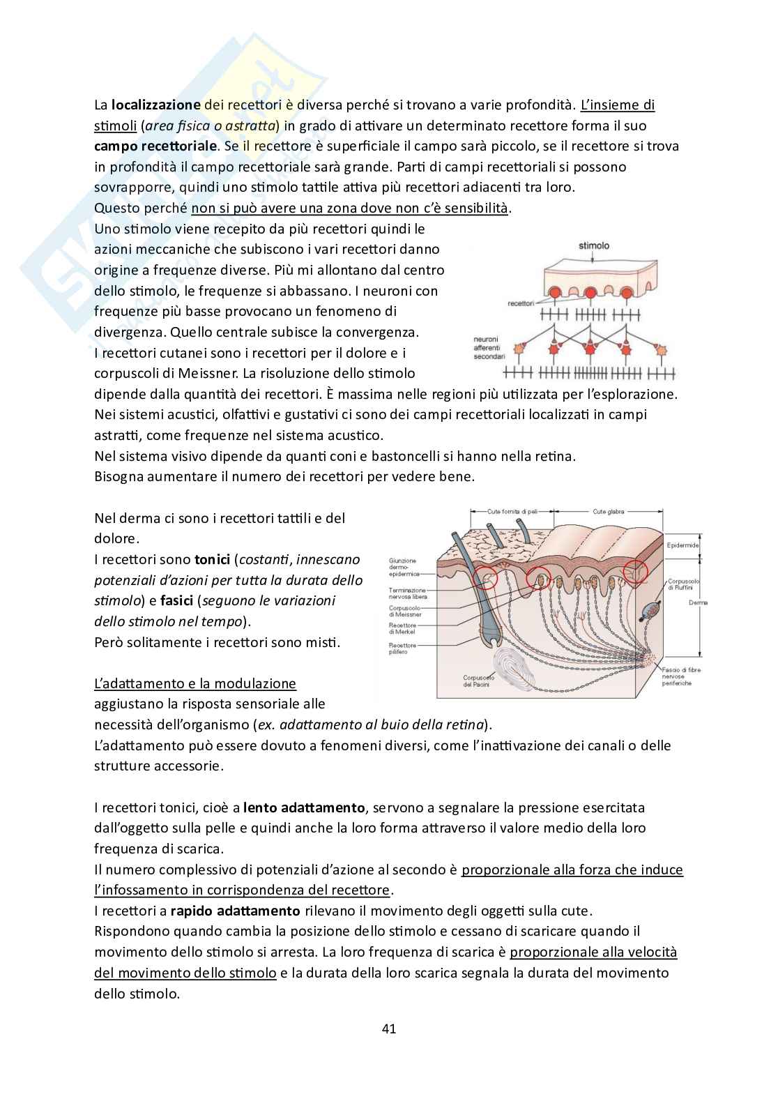 Fisiologia Pag. 41