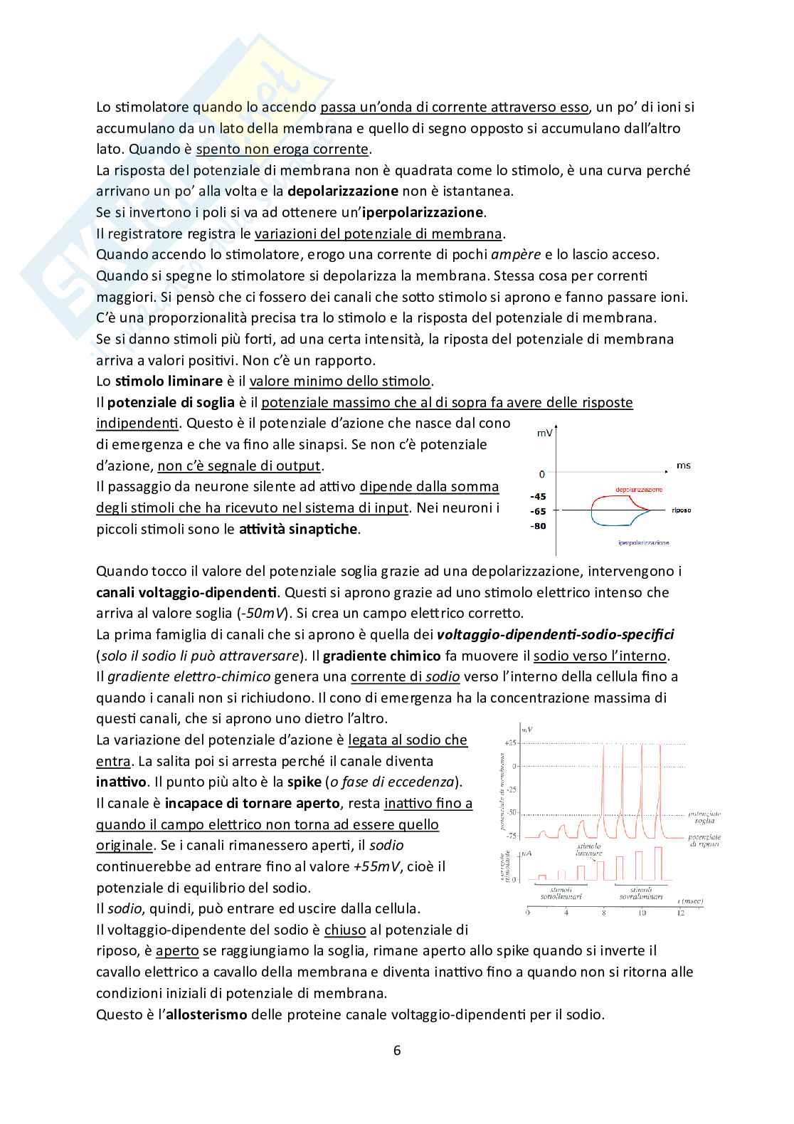 Fisiologia Pag. 6
