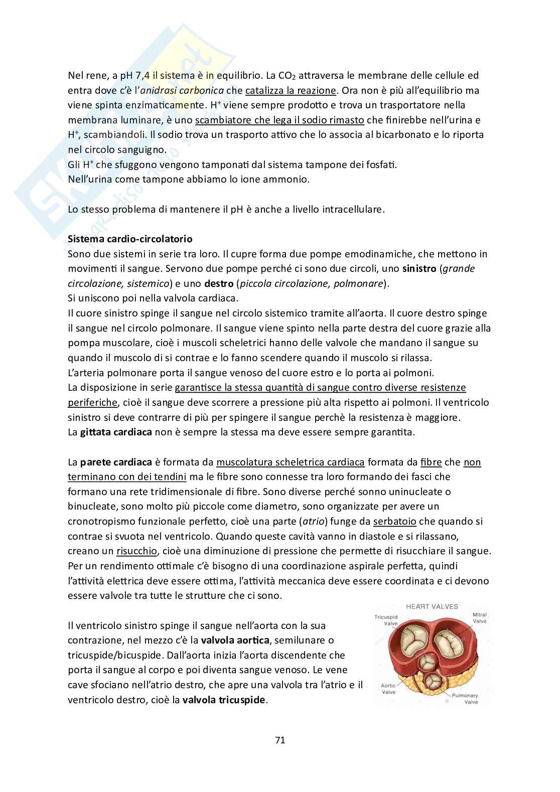 Fisiologia Pag. 71