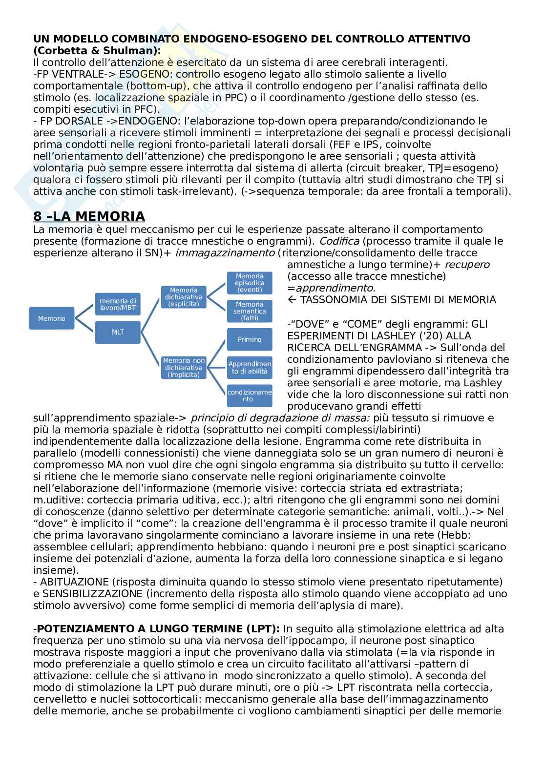 Psicologia cognitiva  Pag. 16
