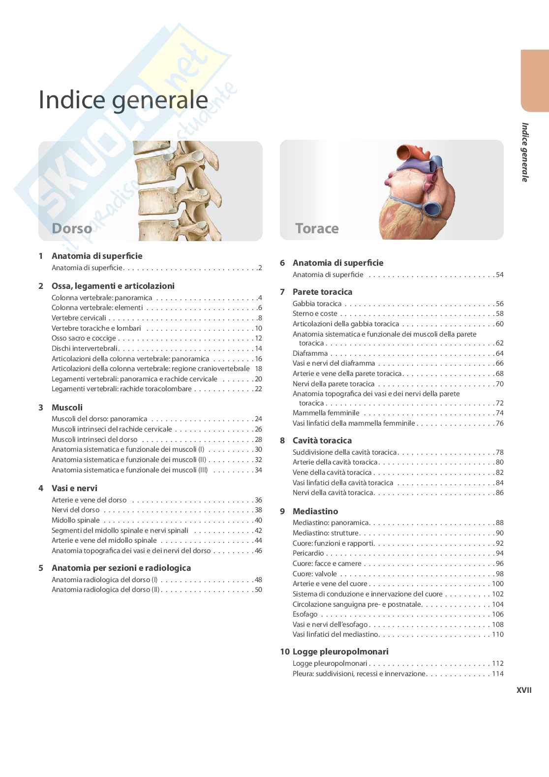 Anatomia umana Pag. 11