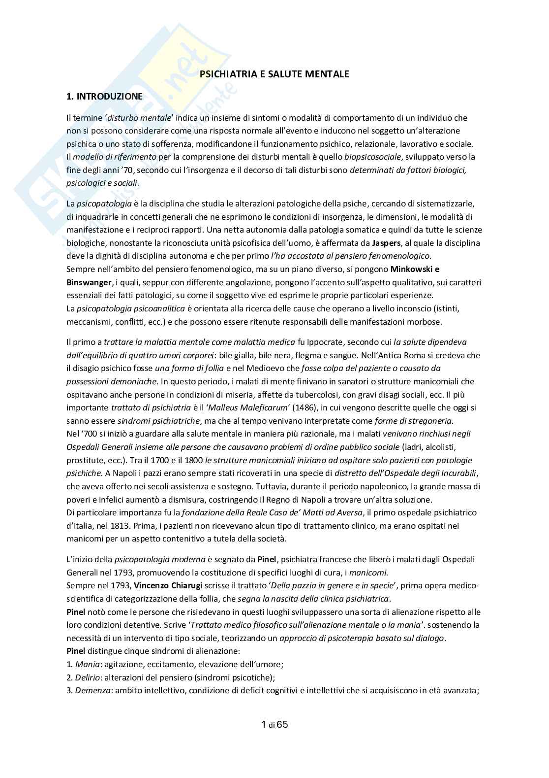 Appunti Psichiatria e salute mentale Pag. 1