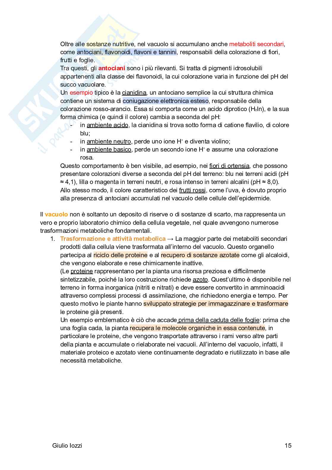 Biologia vegetale e farmacognosia Pag. 16