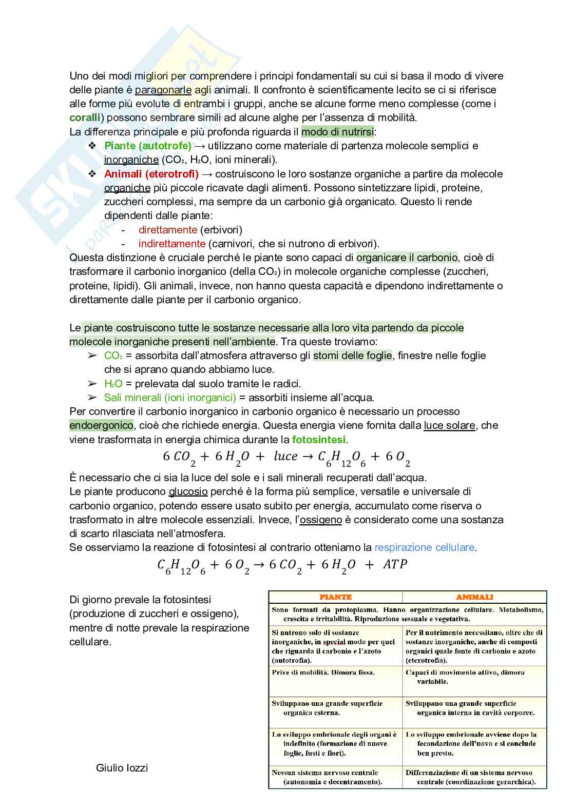 Biologia vegetale e farmacognosia Pag. 2