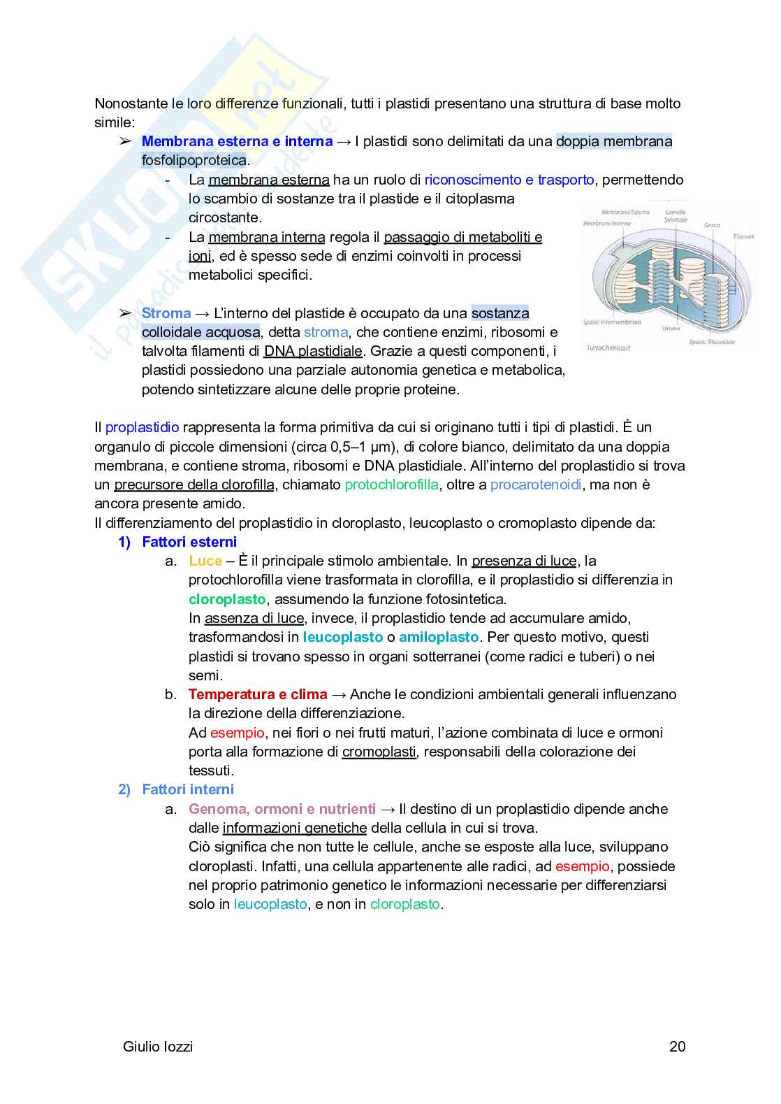 Biologia vegetale e farmacognosia Pag. 21