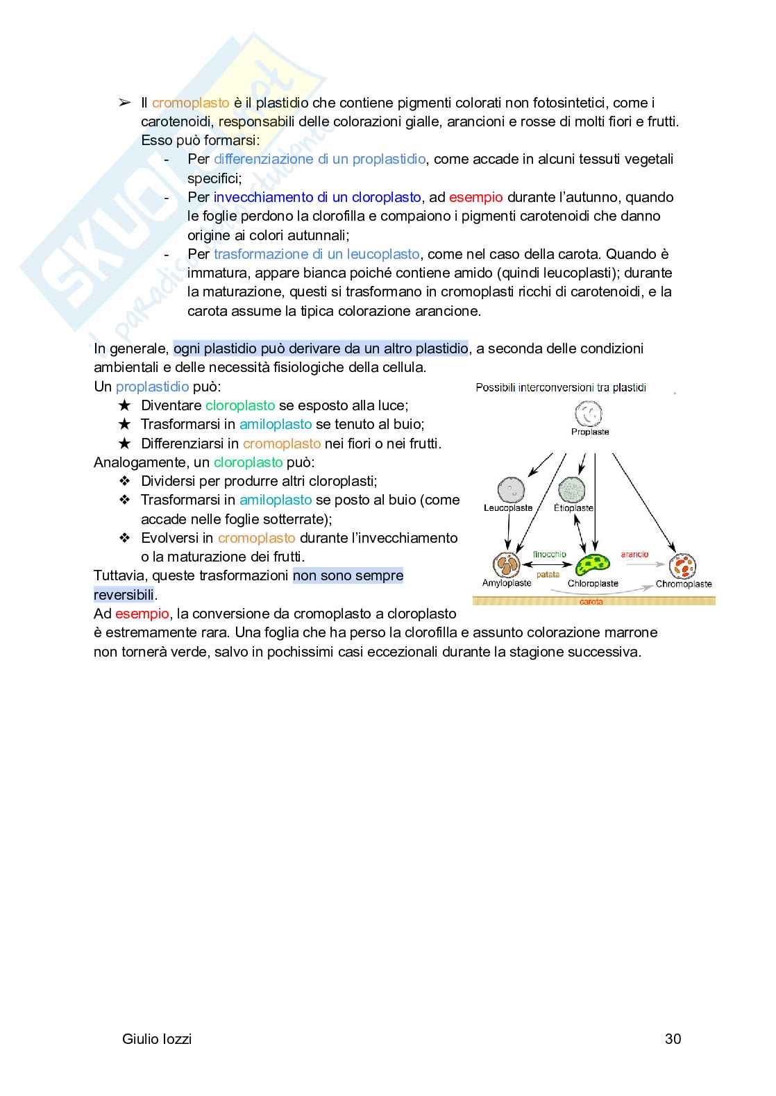 Biologia vegetale e farmacognosia Pag. 31