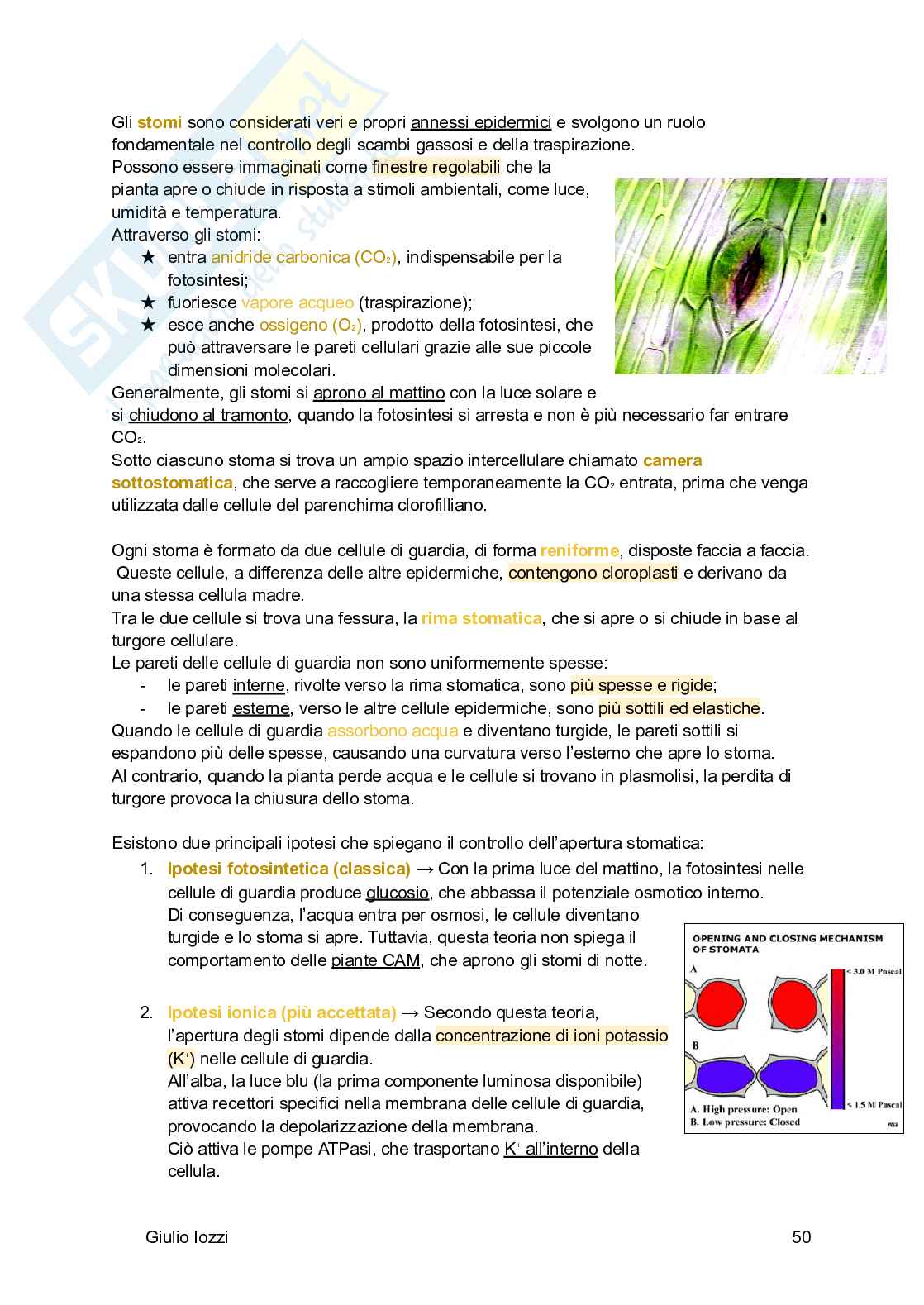 Biologia vegetale e farmacognosia Pag. 51