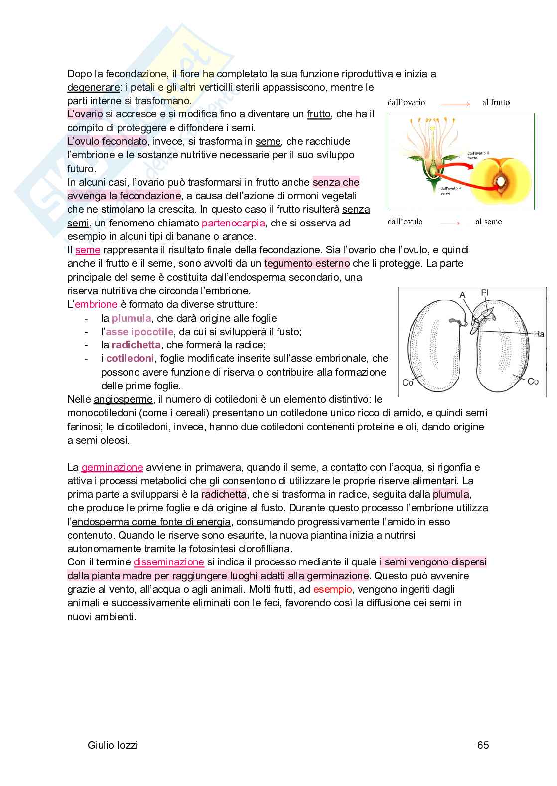 Biologia vegetale e farmacognosia Pag. 66