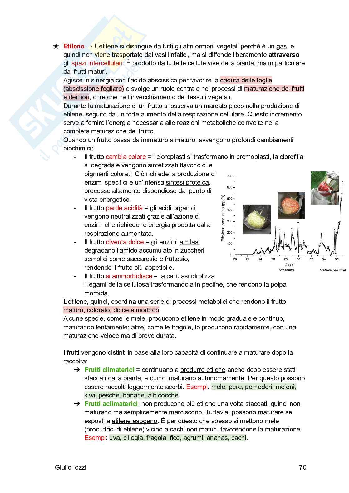 Biologia vegetale e farmacognosia Pag. 71