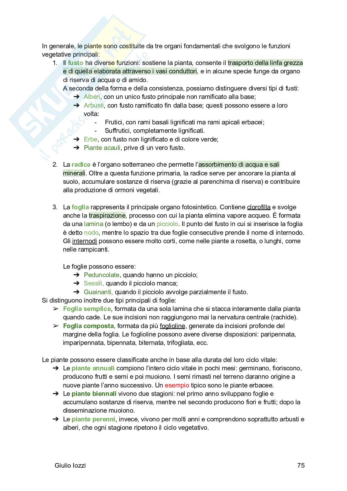 Biologia vegetale e farmacognosia Pag. 76