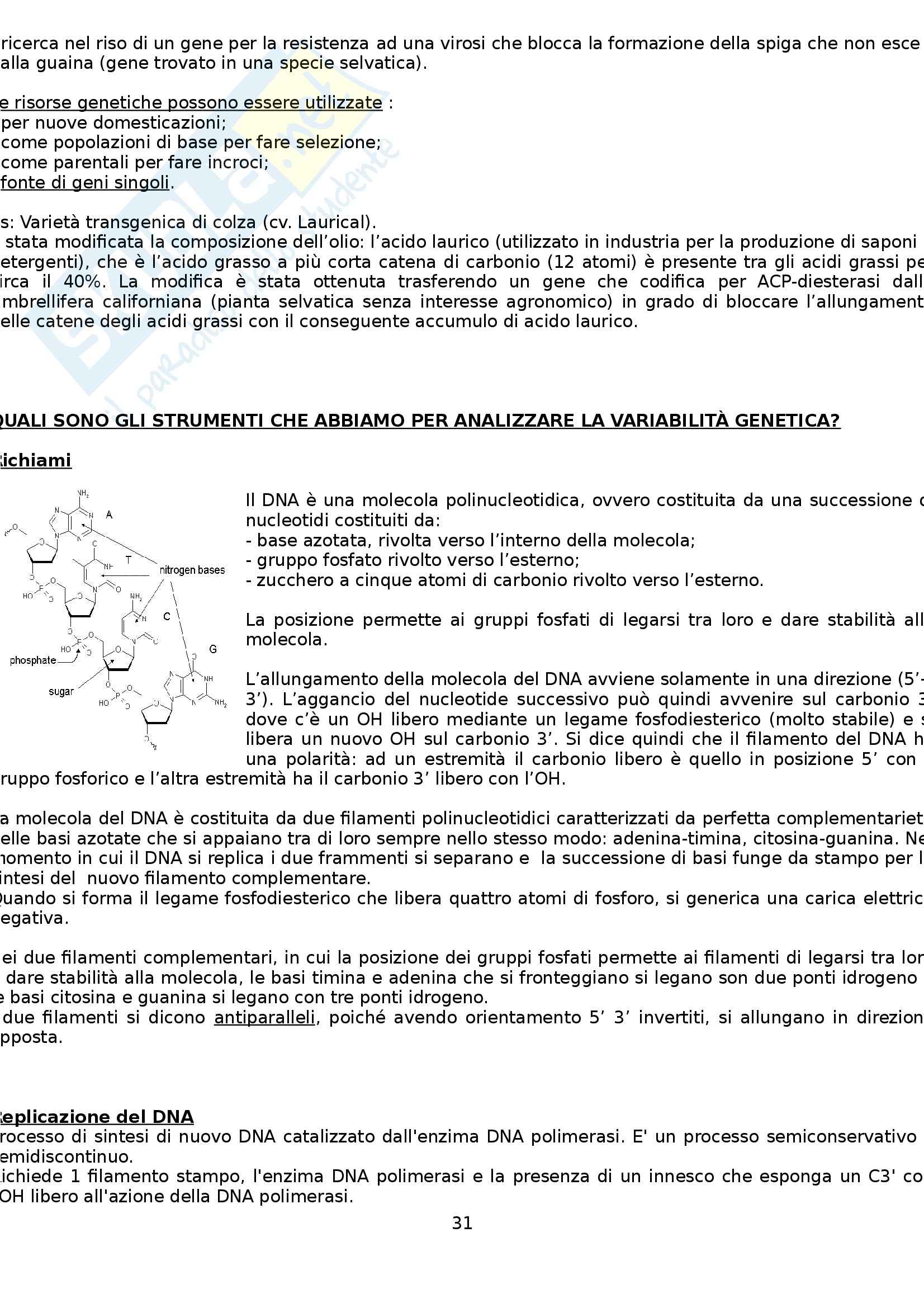 Riassunto esame Miglioramento Genetico, prof. Lucchin Pag. 31