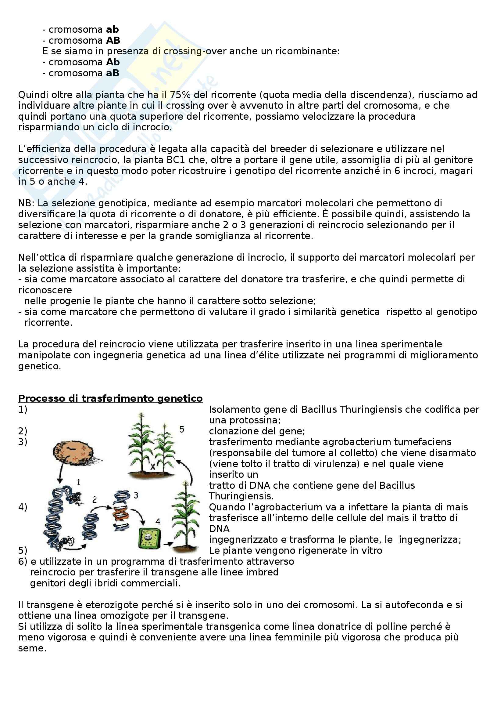 Riassunto esame Miglioramento Genetico, prof. Lucchin Pag. 56