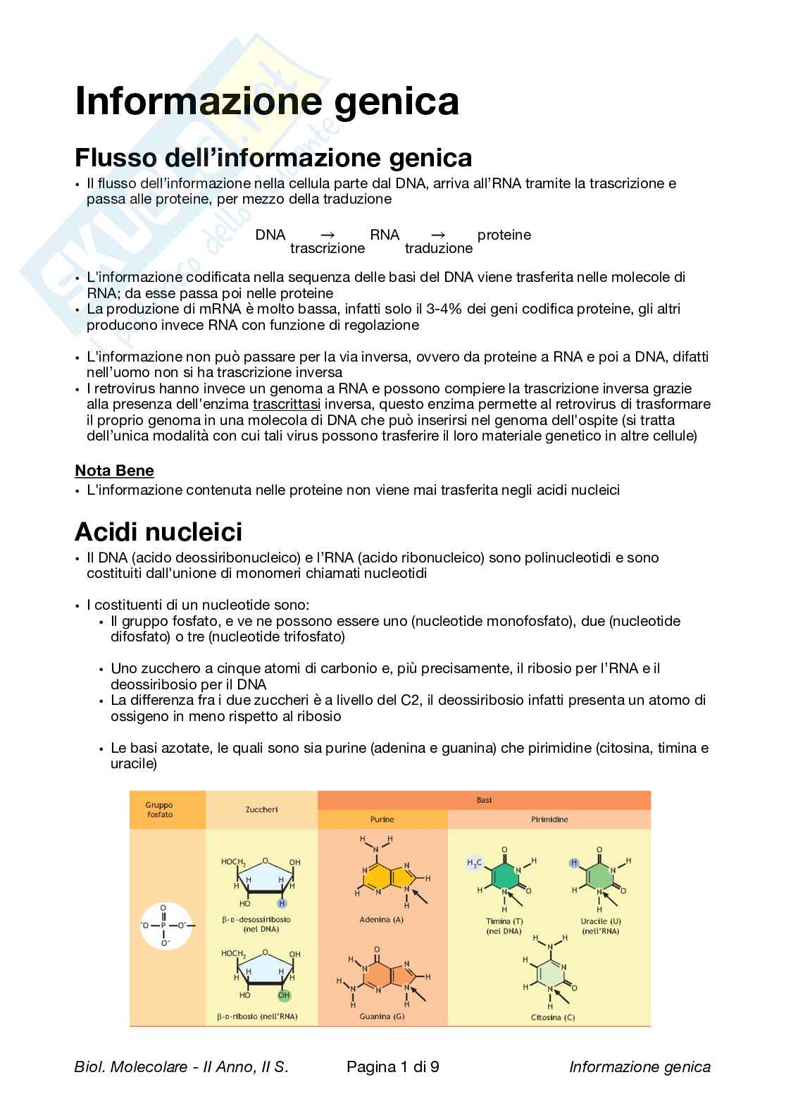 Biologia Molecolare Fiaschi Pag. 2