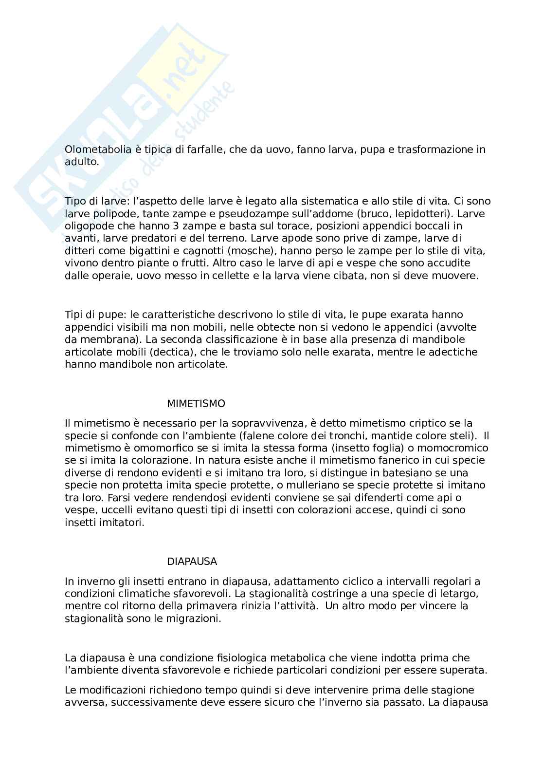 Entomologia agraria Pag. 16