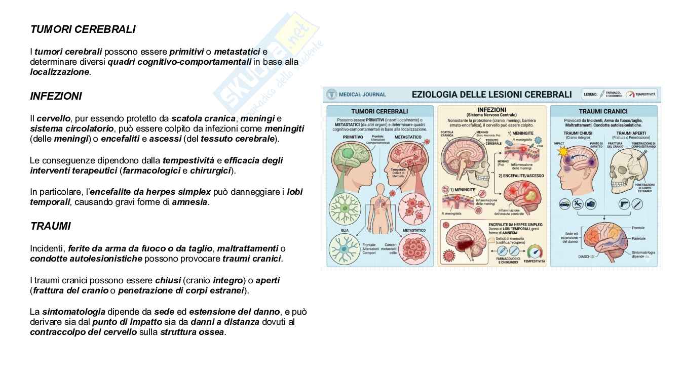 Psicologia fisiologica  Pag. 21