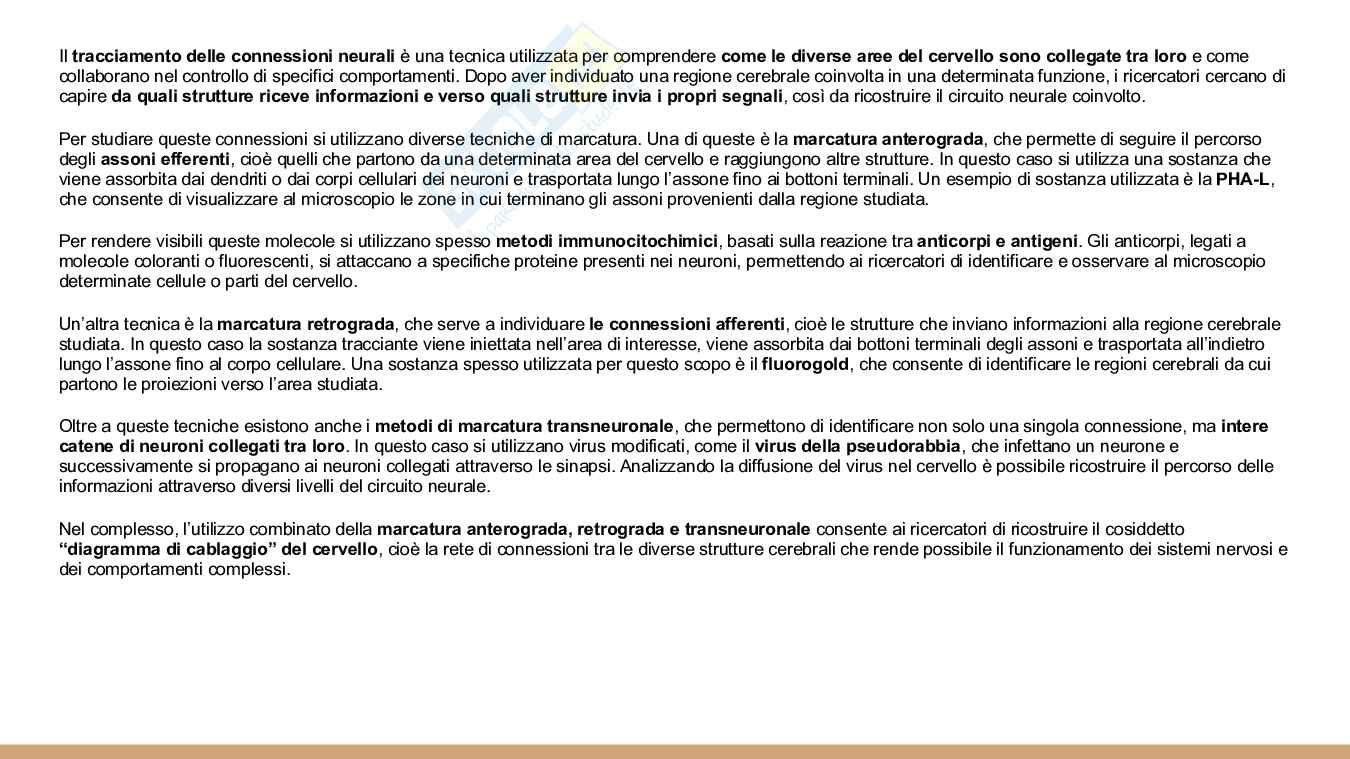 Psicologia fisiologica  Pag. 26