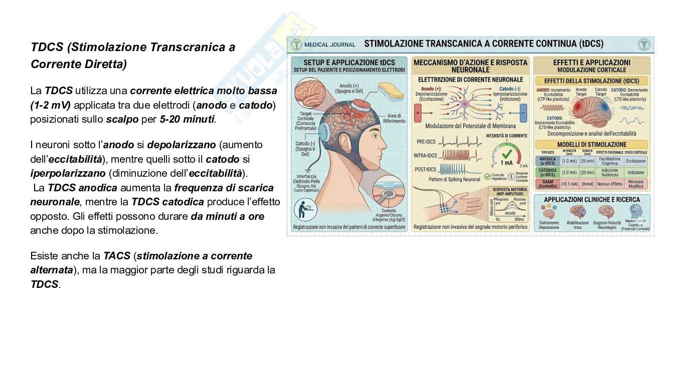 Psicologia fisiologica  Pag. 31
