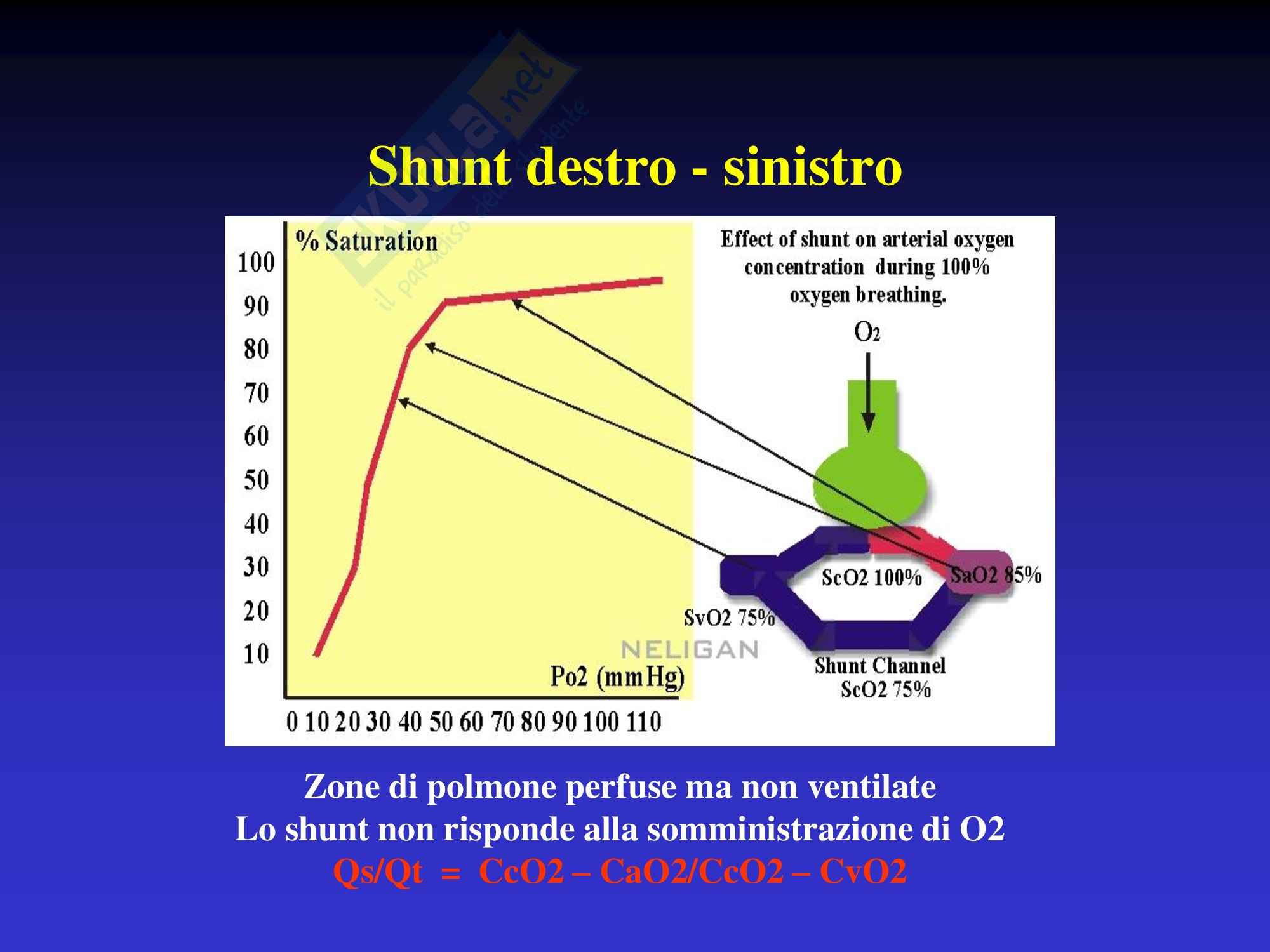 Anestesia - Terapia Intensiva Pag. 16