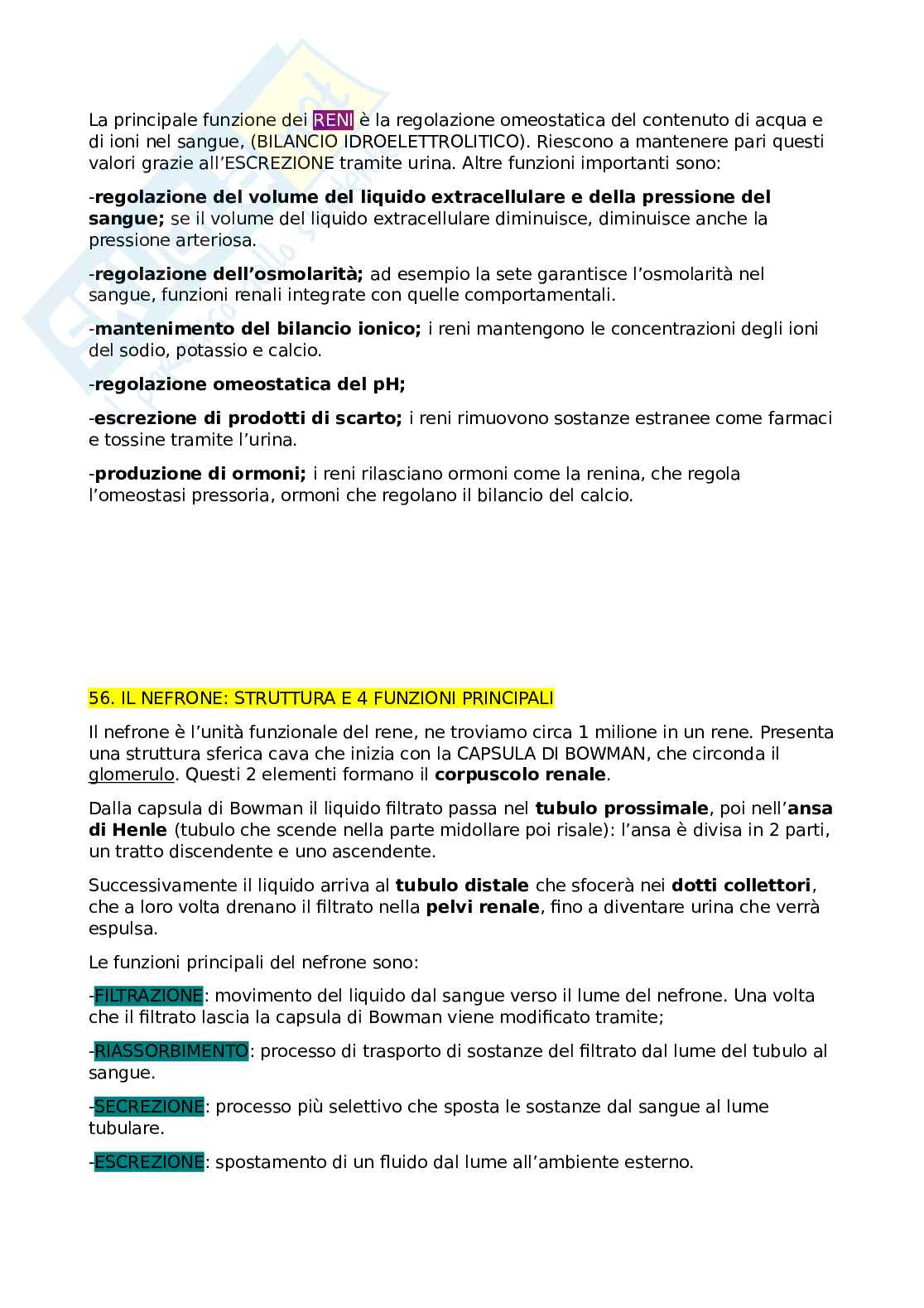 Fisiologia cuore reni e polmoni Pag. 6