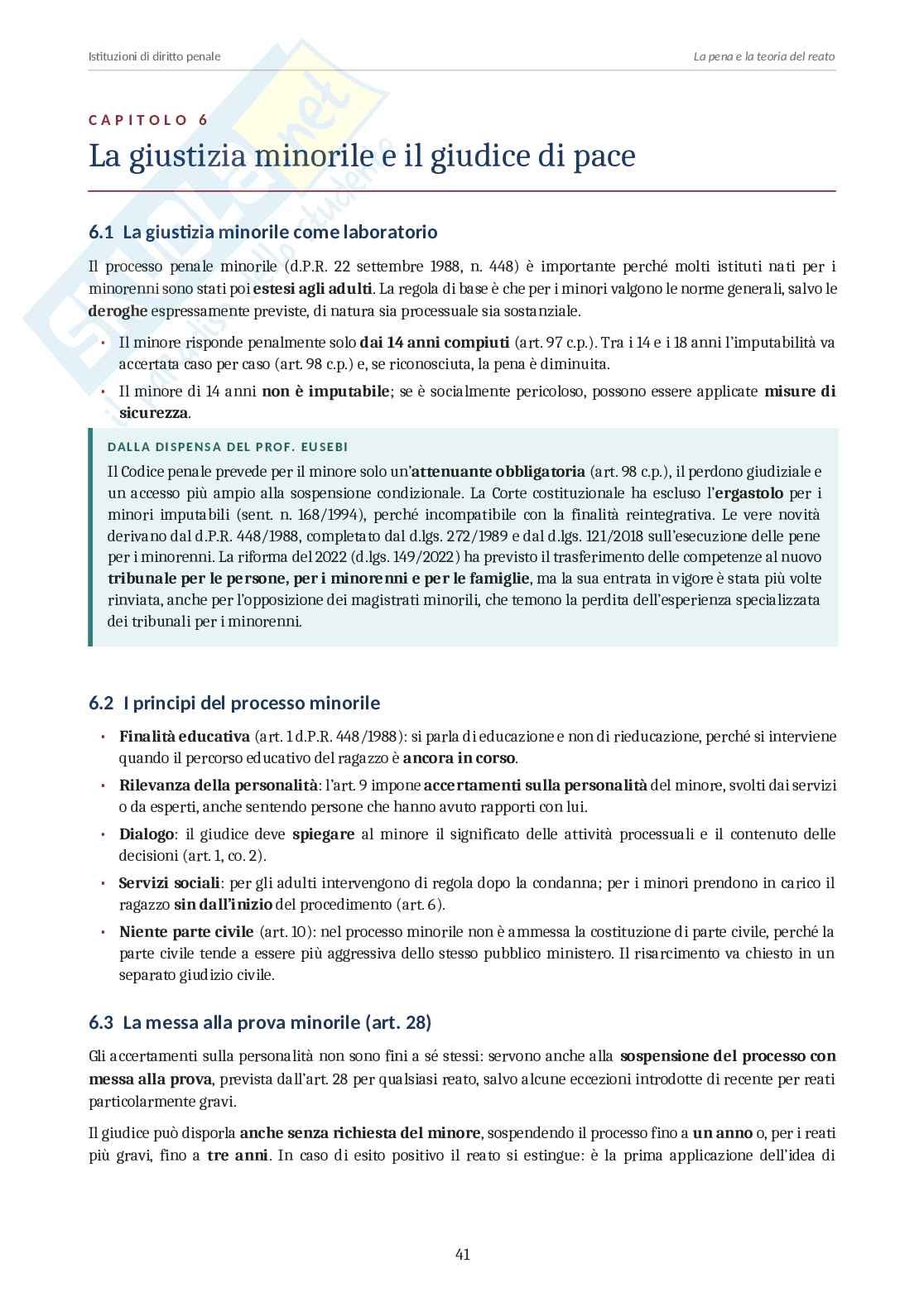 Istituzioni di diritto penale  Pag. 41