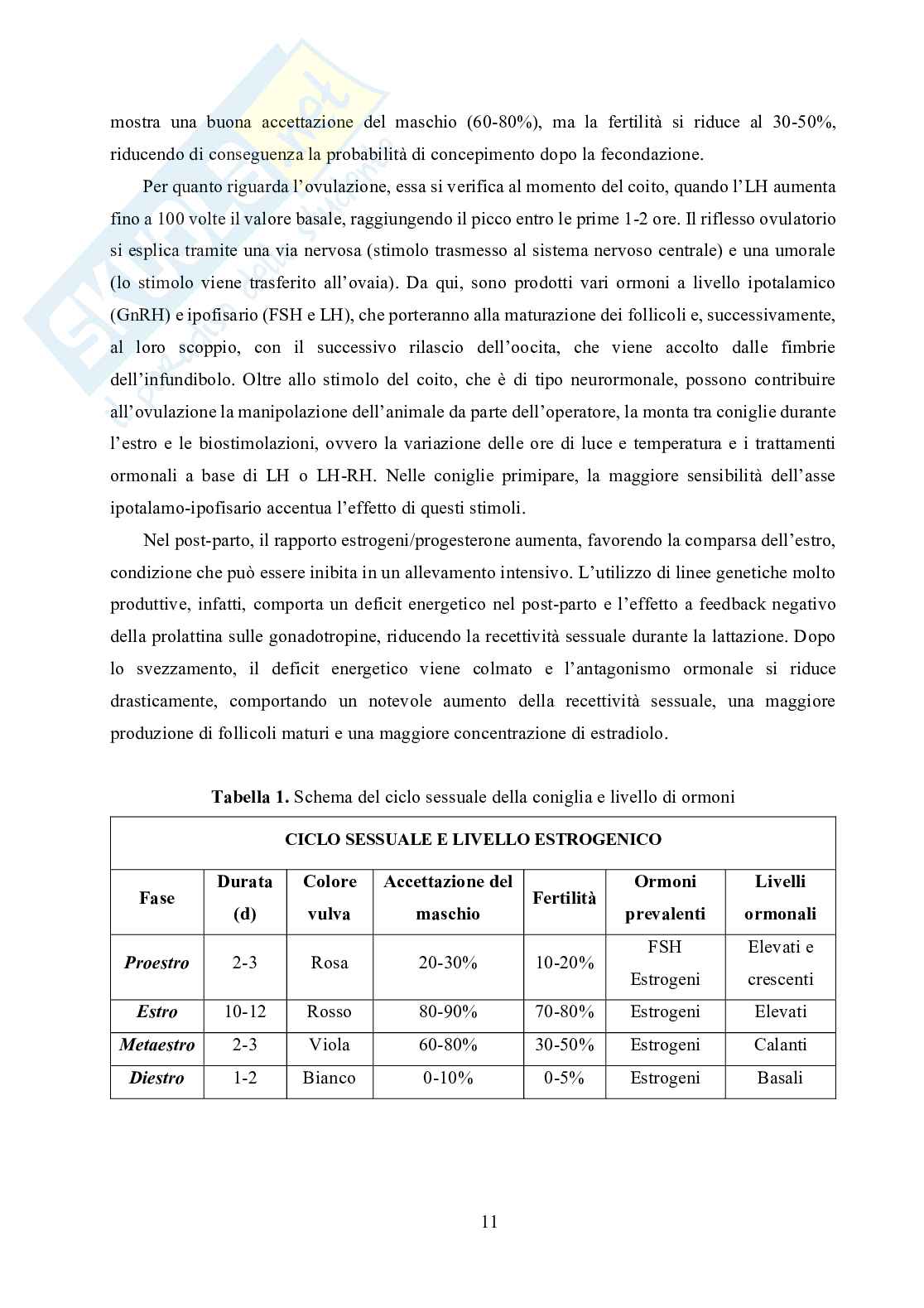 Effetto della dieta e dell’età di accoppiamento sulle prestazioni riproduttive e bilancio corporeo di giovani coniglie allevate in gruppo Pag. 11