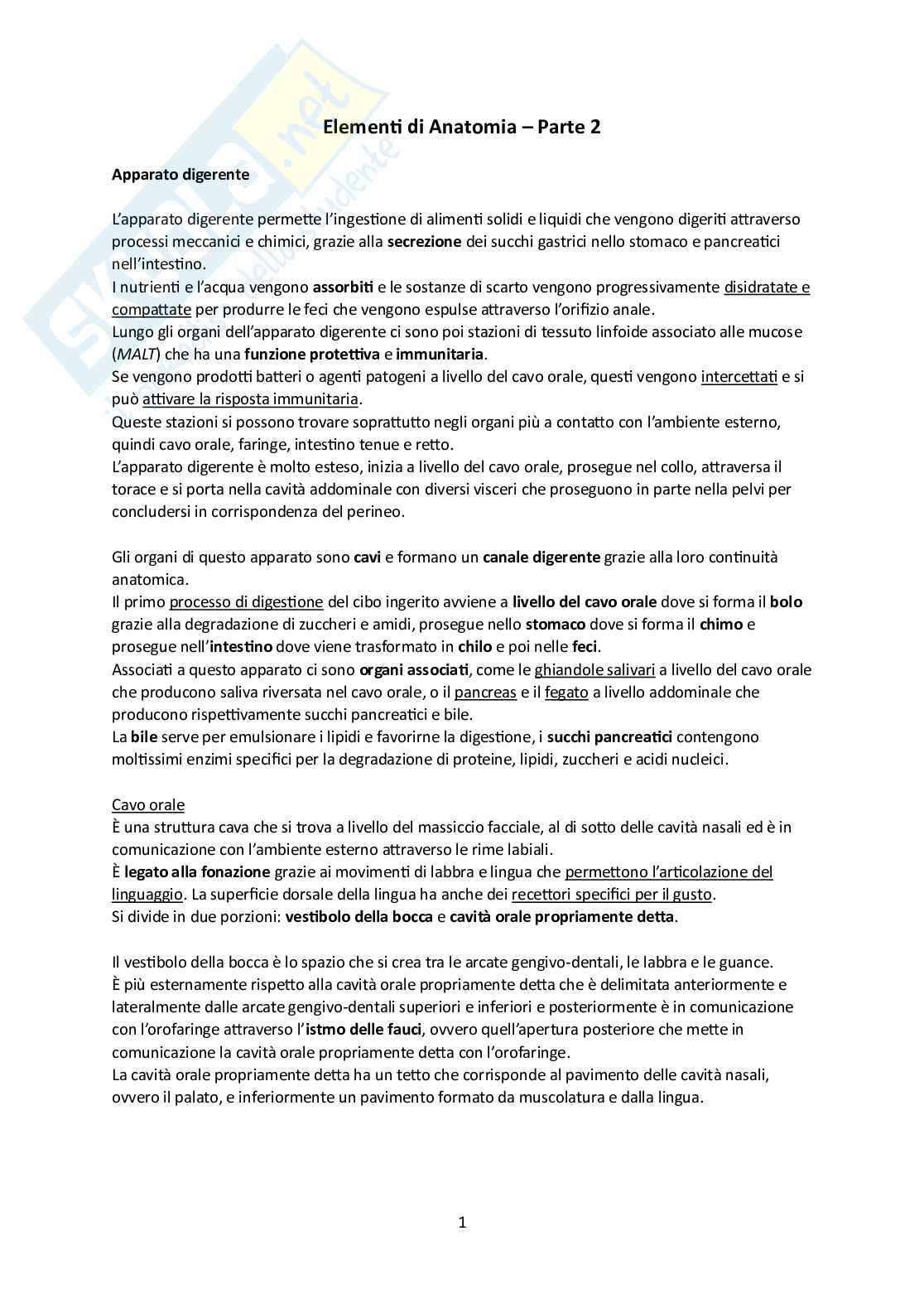 Elementi di Anatomia - Parte 2 Pag. 1