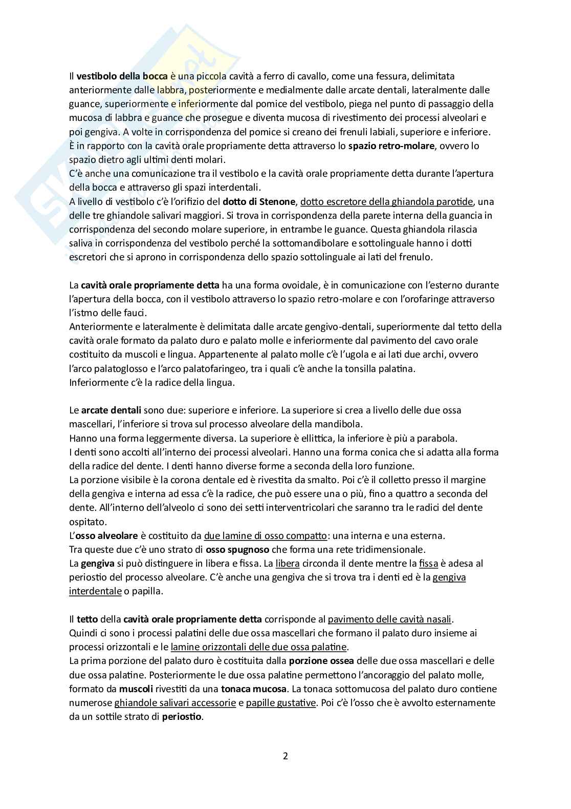 Elementi di Anatomia - Parte 2 Pag. 2