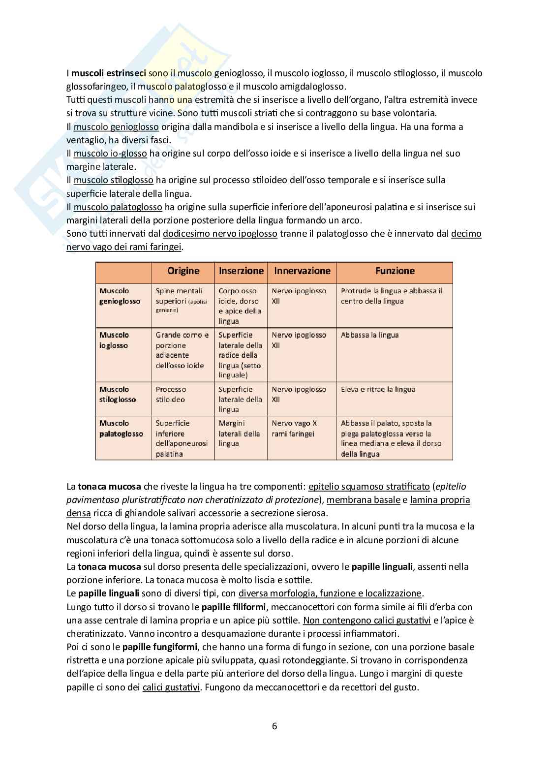 Elementi di Anatomia - Parte 2 Pag. 6