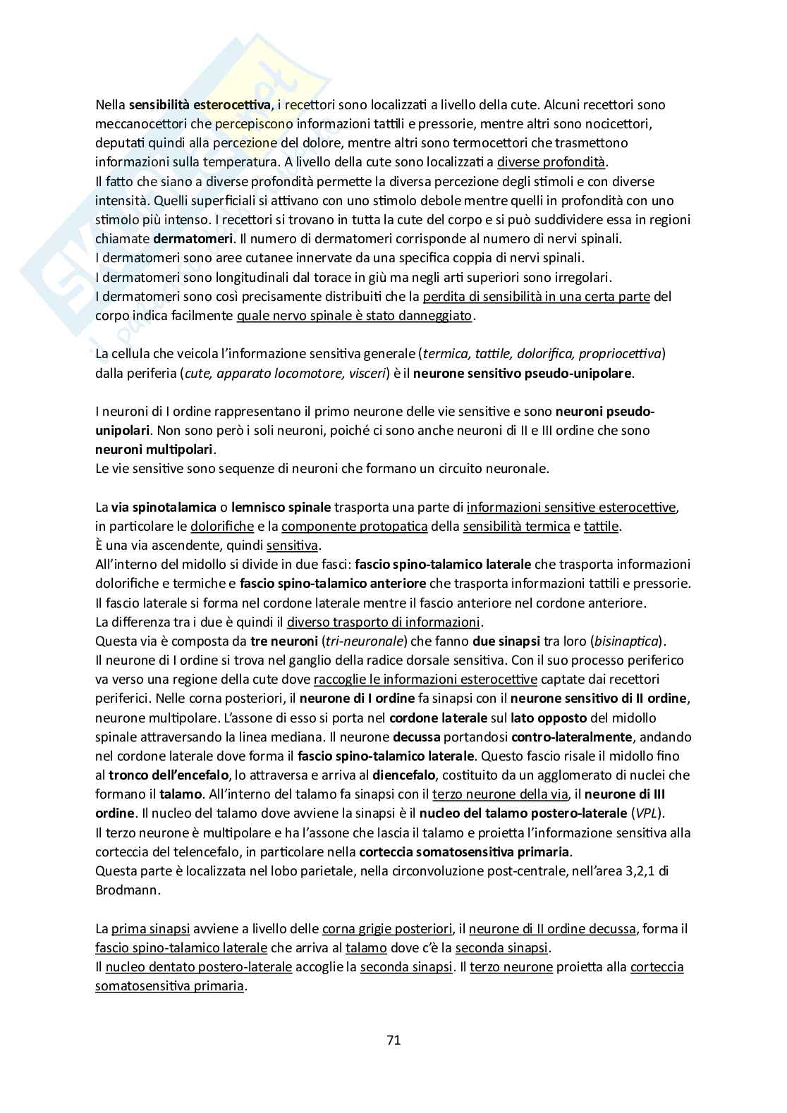 Elementi di Anatomia - Parte 2 Pag. 71