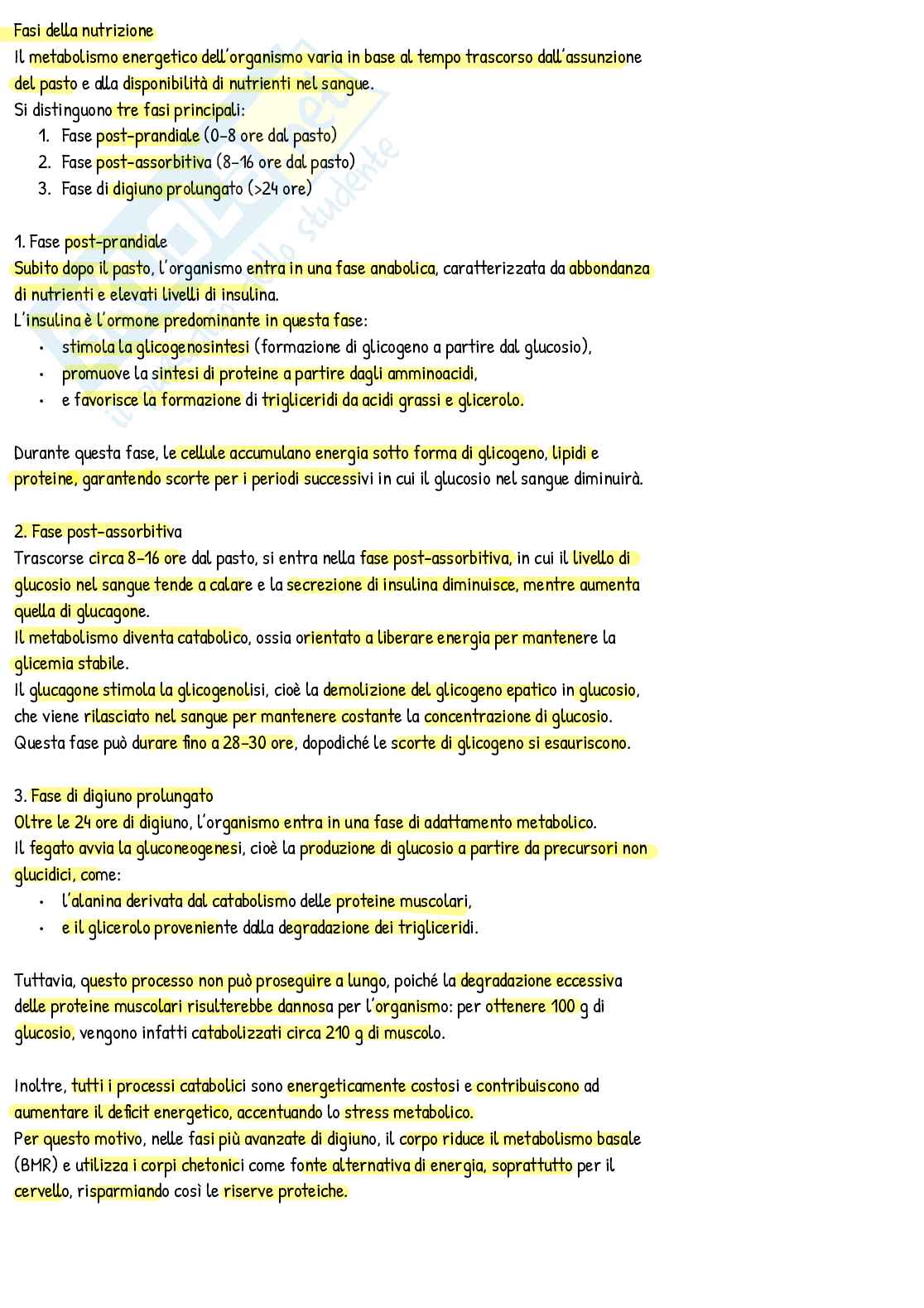 Appunti di Nutrizione umana Pag. 11