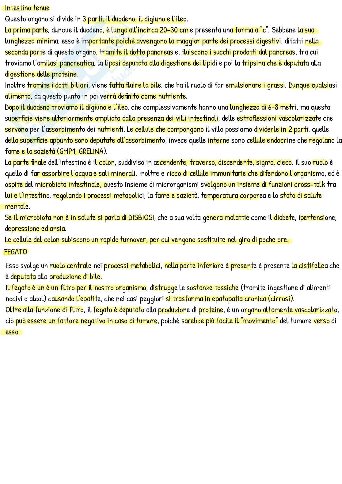 Appunti di Nutrizione umana Pag. 2