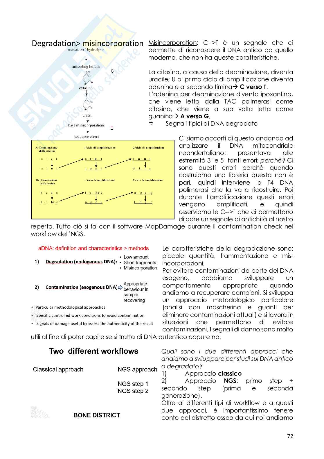 Tecnologia NGS analisi DNA Pag. 1