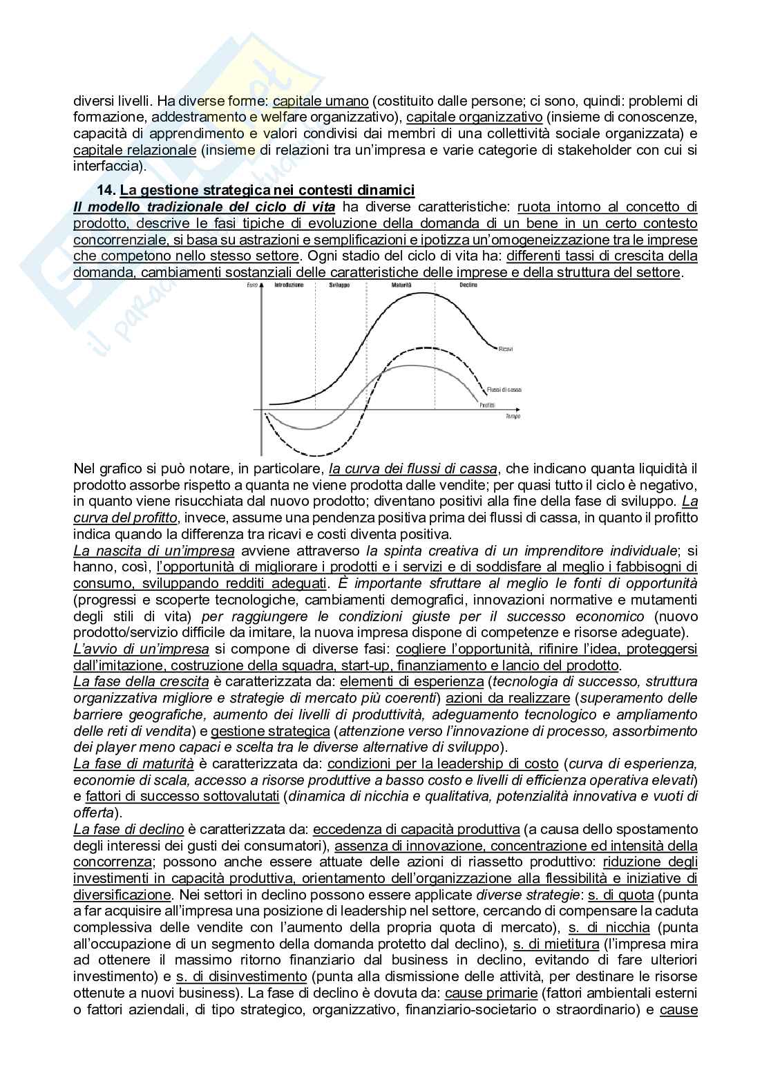 Riassunto esame Economia e gestione delle imprese, Prof. Pedeliento Giuseppe, libro consigliato Management, Perrini   Pag. 16