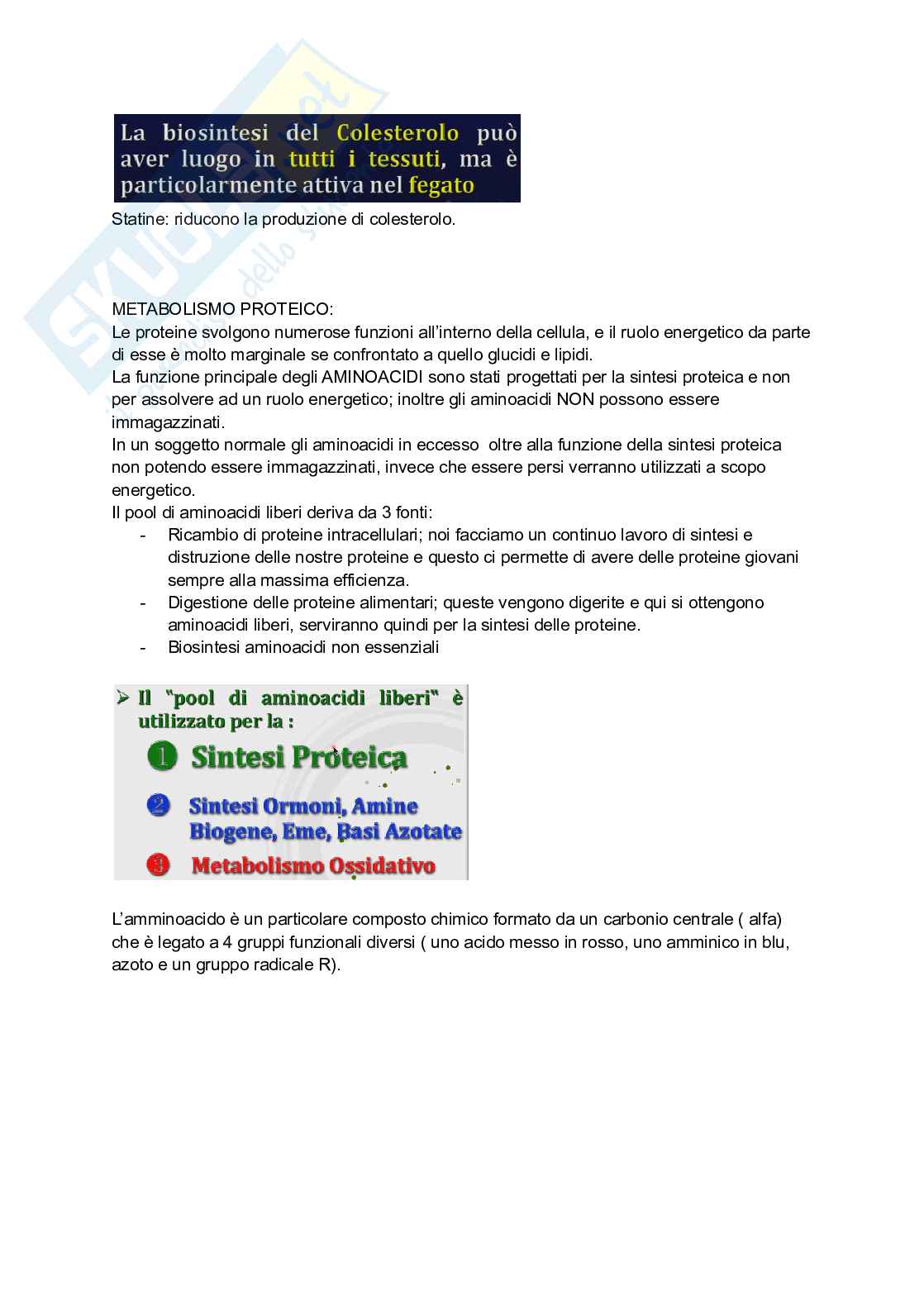 Biochimica Pag. 66