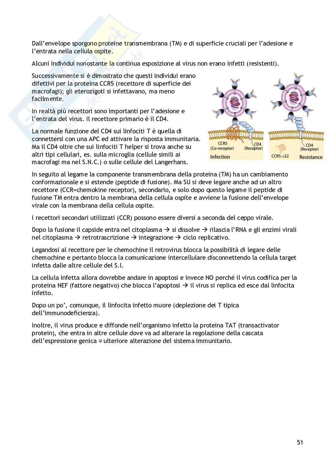 Aspetti molecolari dell’interazione microorganismo-ospite Pag. 51