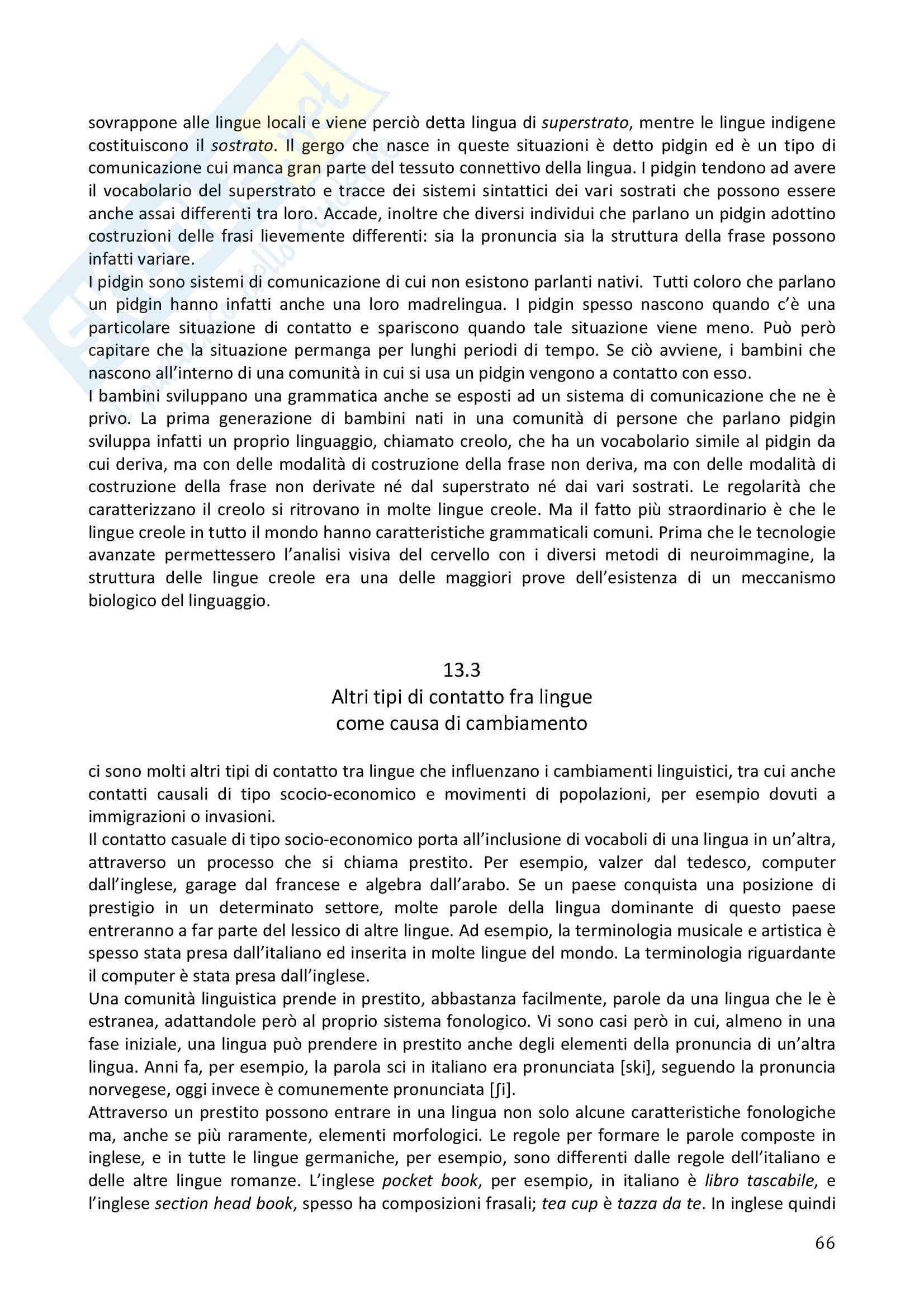 Riassunto esame Glottologia, prof.ssa Franchi, libro consigliato L'animale Parlante, M. Nespor-D. Jo Napoli Pag. 66