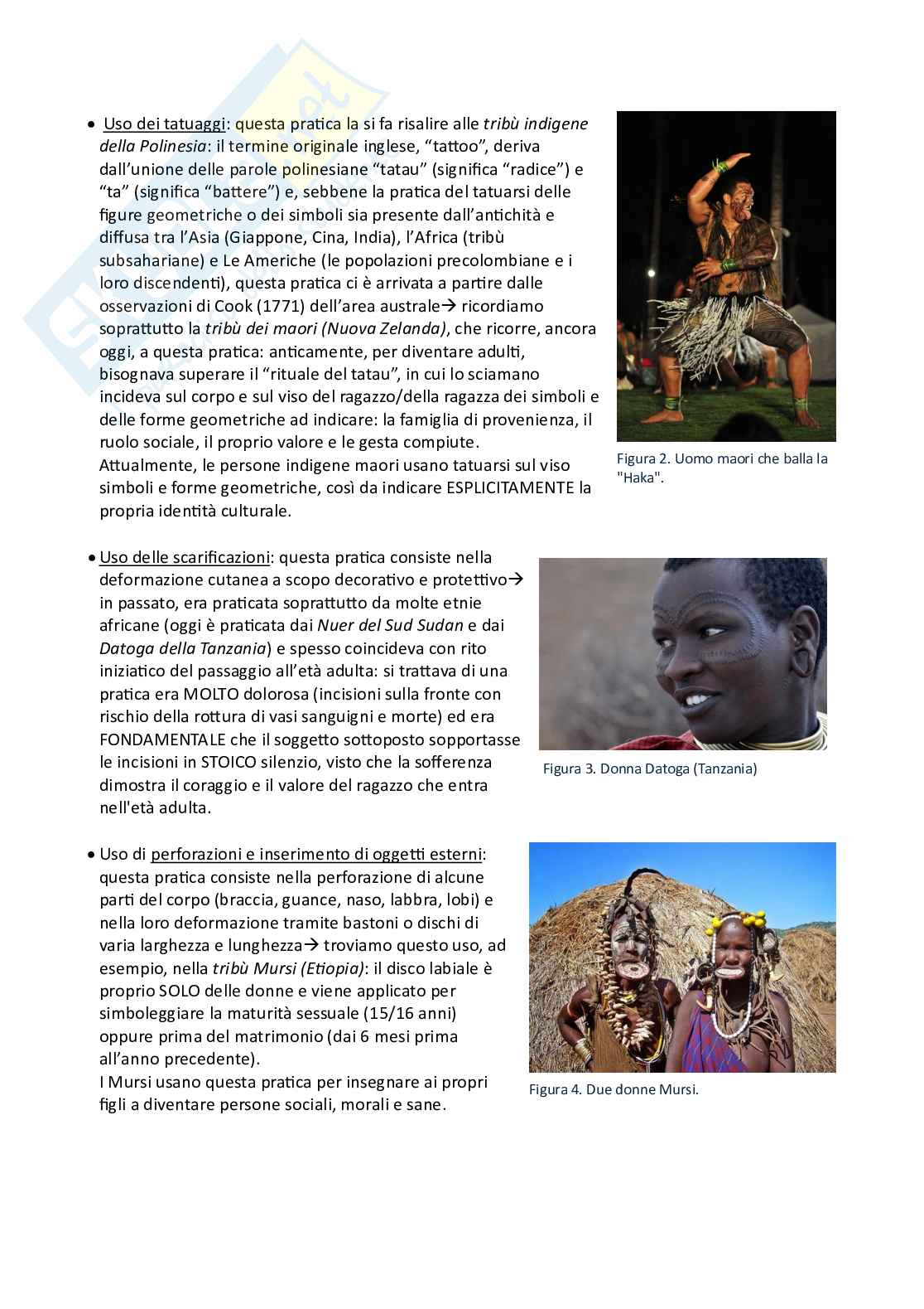 Antropologia culturale: la biomedicina, la salute, la medicina popolare Pag. 11