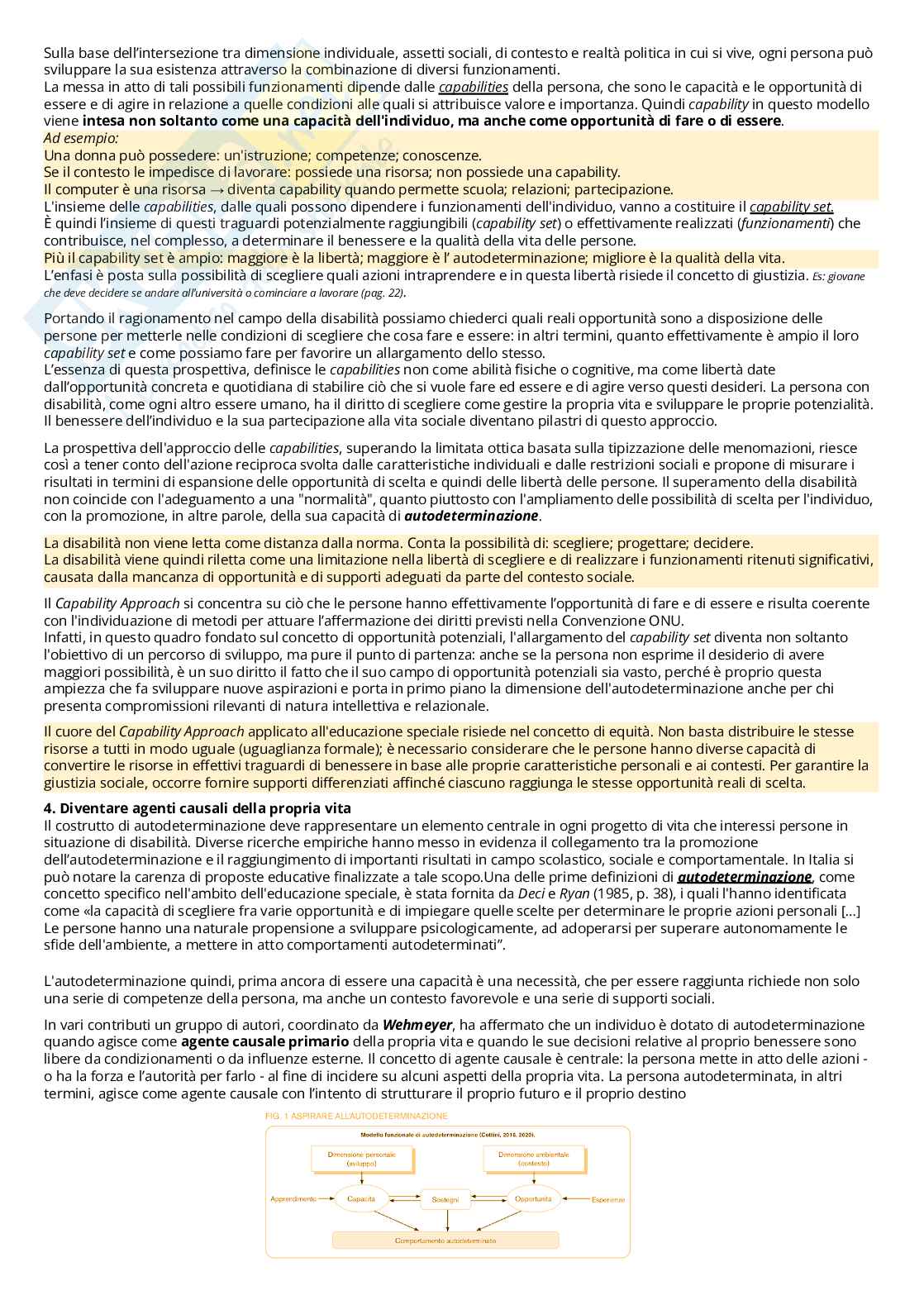 Appunti Didattica e pedagogia speciale Pag. 6