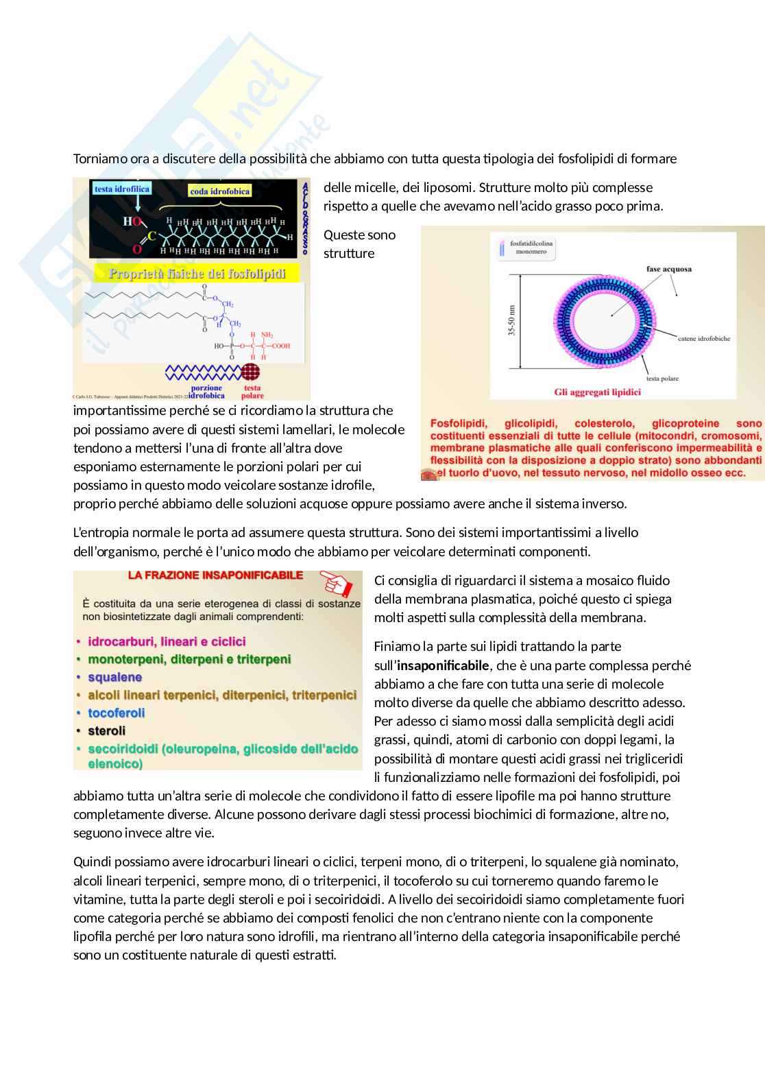 Prodotti dietetici - parte 3 Pag. 11