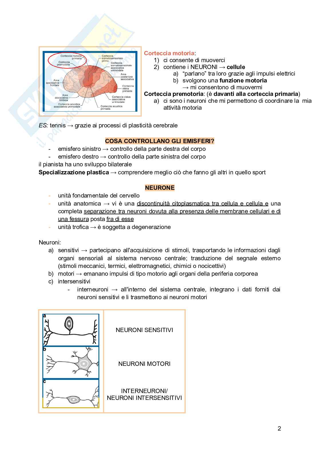 Psicologia delle attività sportive Pag. 2