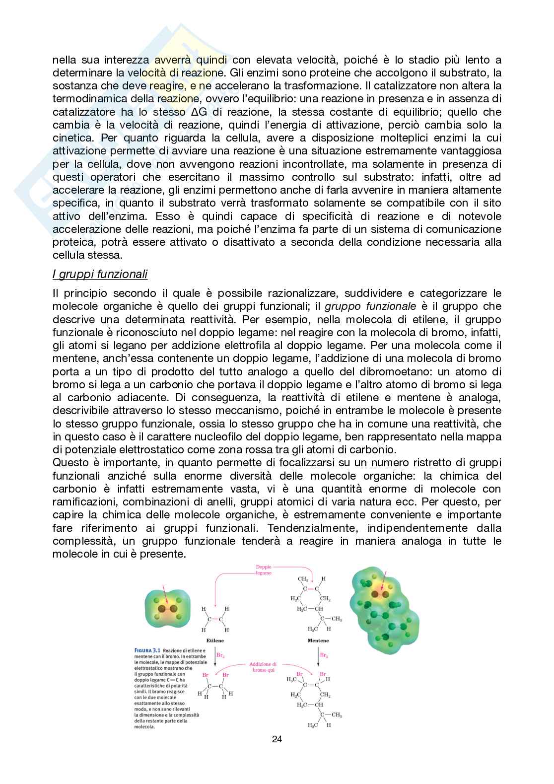 Chimica Organica, Assfalg Pag. 26
