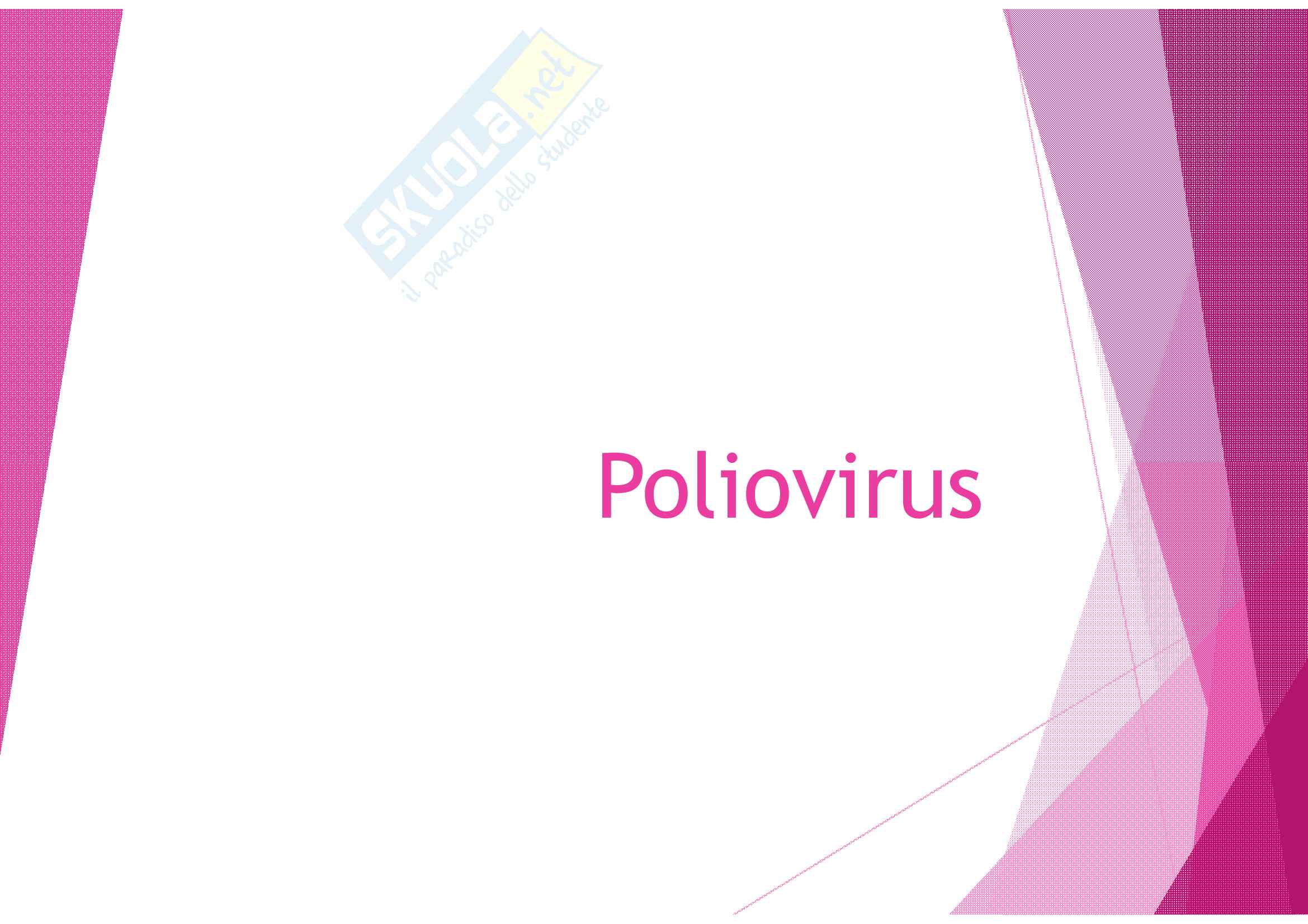 Poliovirus Pag. 1