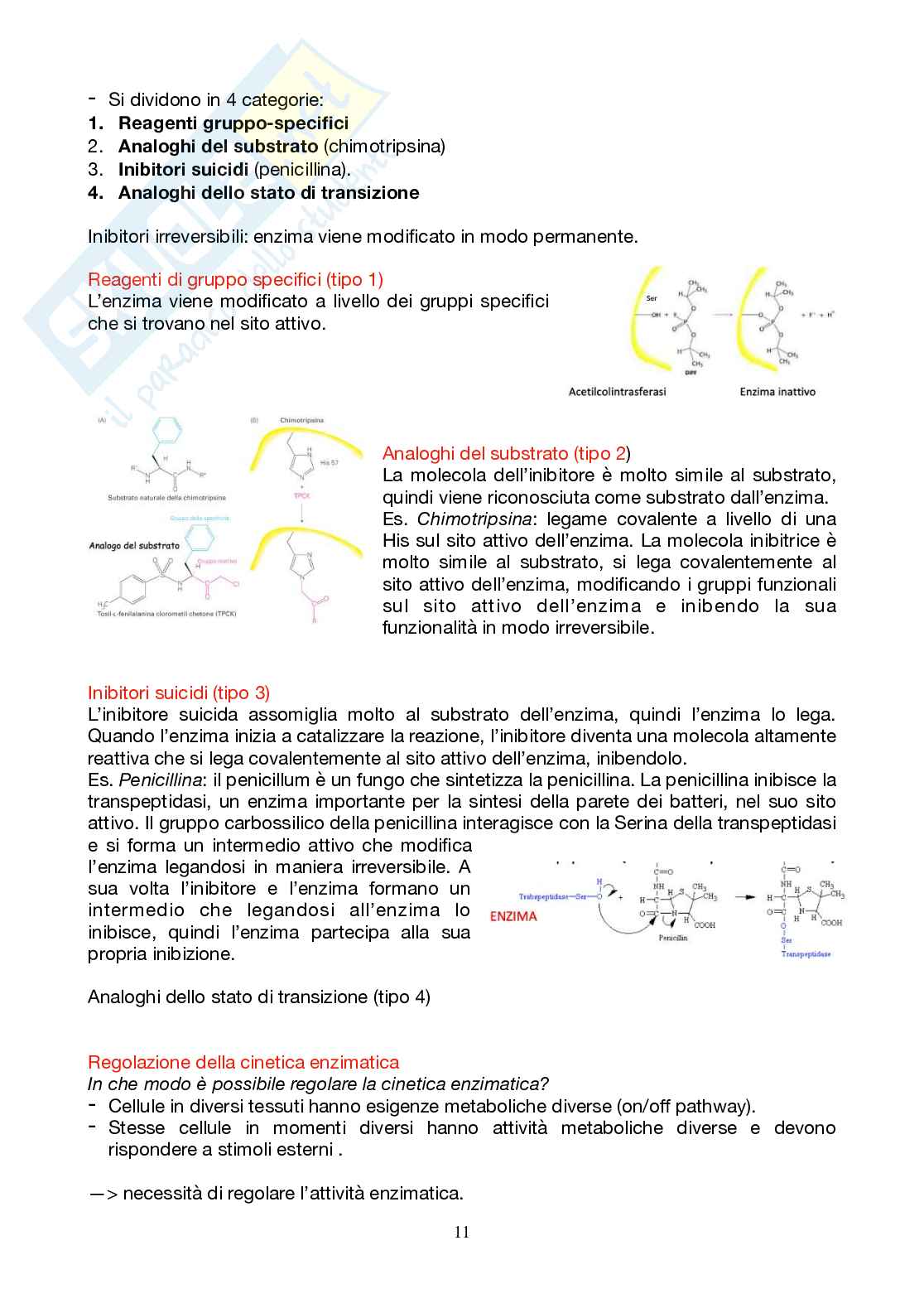 Appunti Biochimica 1 - Parte 2 - completi di immagini e schemi Pag. 11