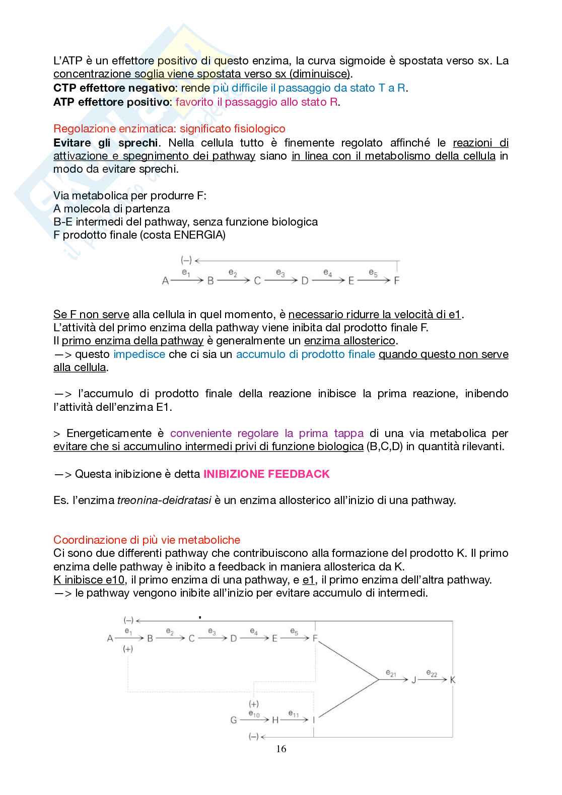 Appunti Biochimica 1 - Parte 2 - completi di immagini e schemi Pag. 16